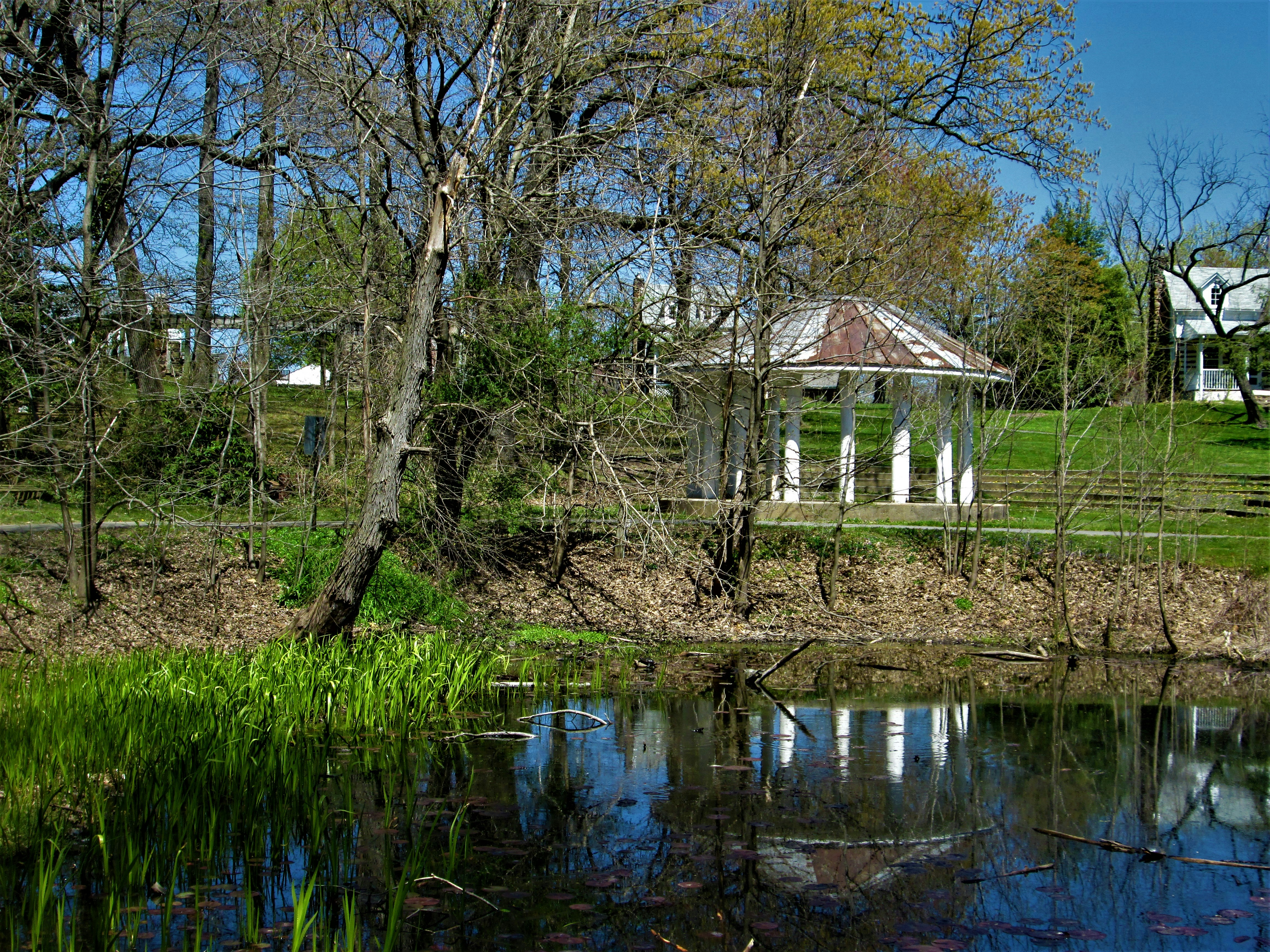 white and brown wooden house near body of water during daytime