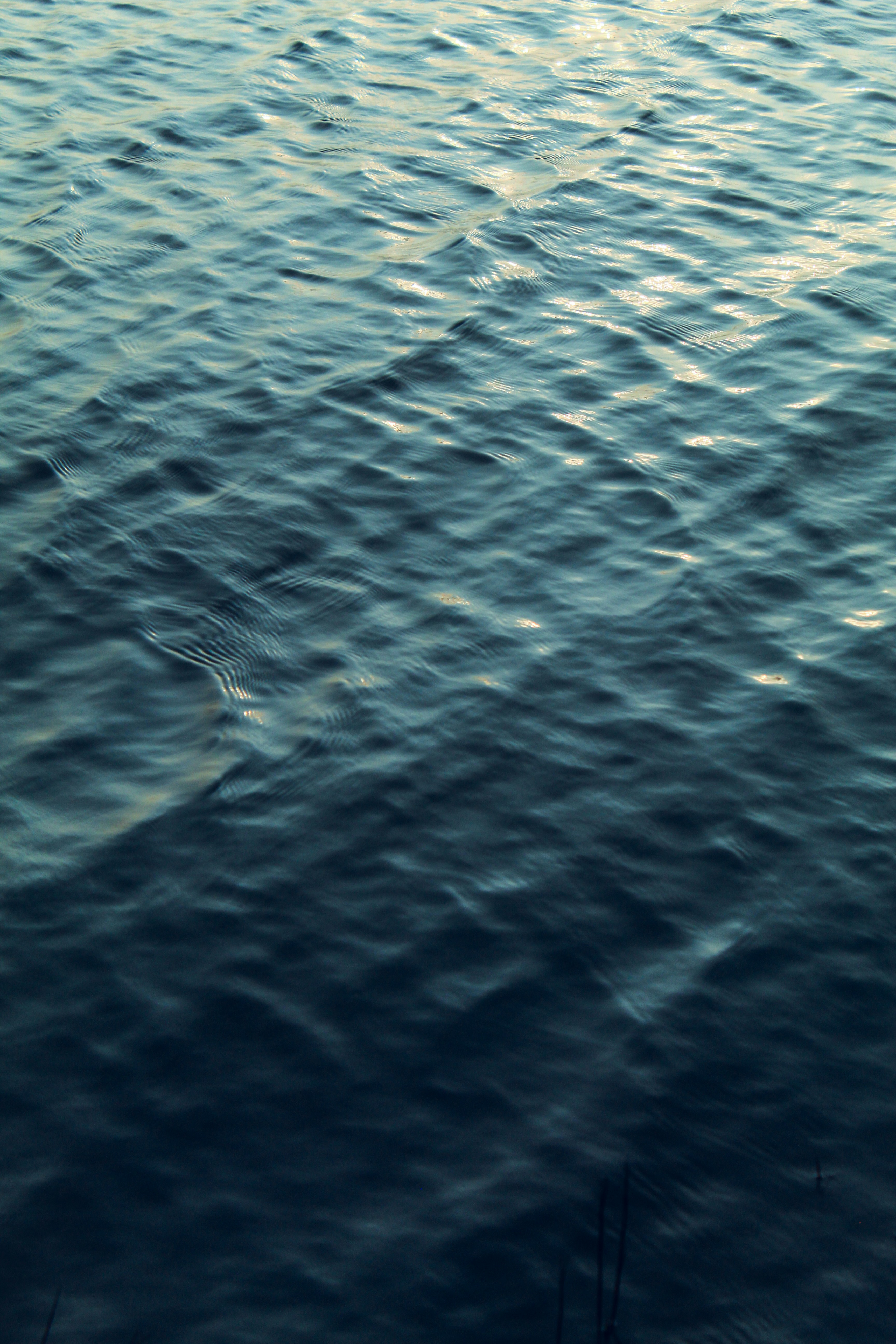 Photo by subhro_vision