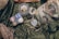 A collection of military items placed on camouflage fabric includes medals, patches, bullets, a tactical cap with a 'Don't Tread on Me' patch, and a brown holster.