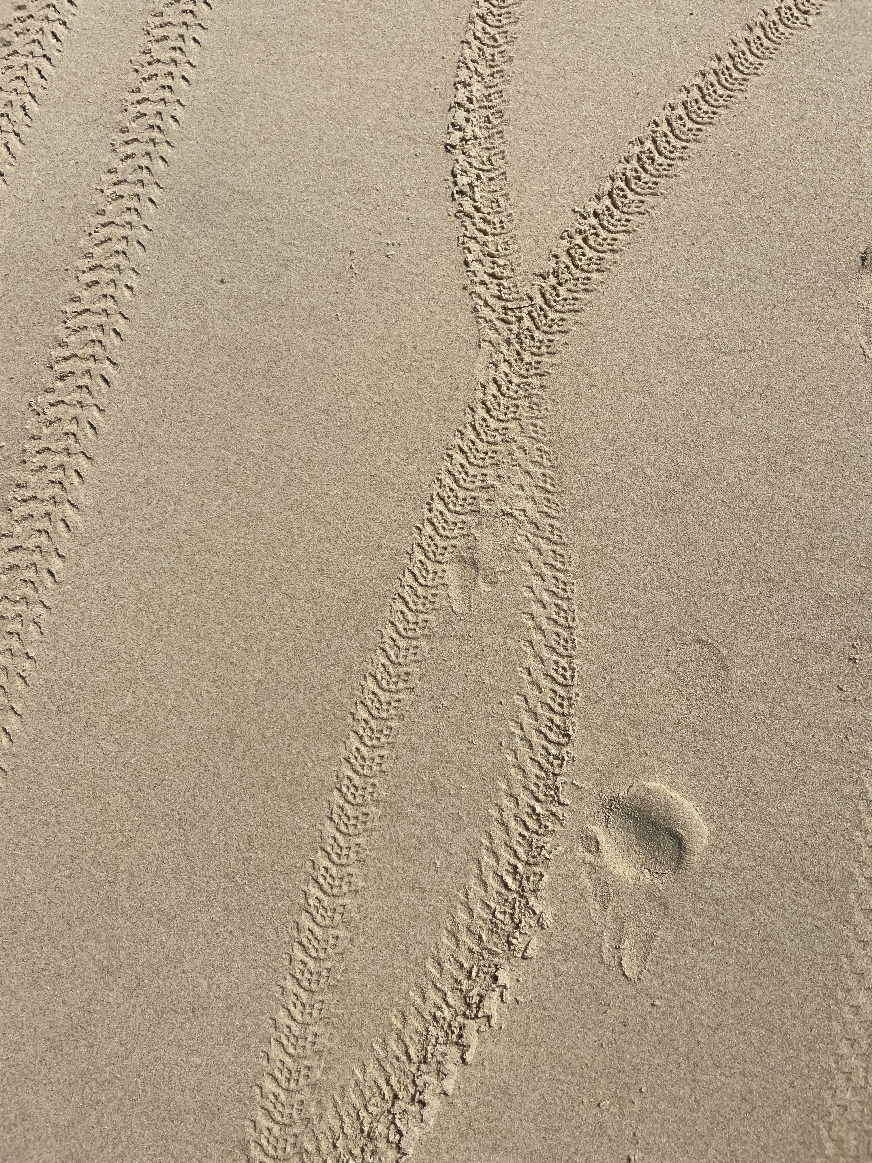 ハート型の影と茶色の砂の写真 Unsplashで見つける茶色の無料写真