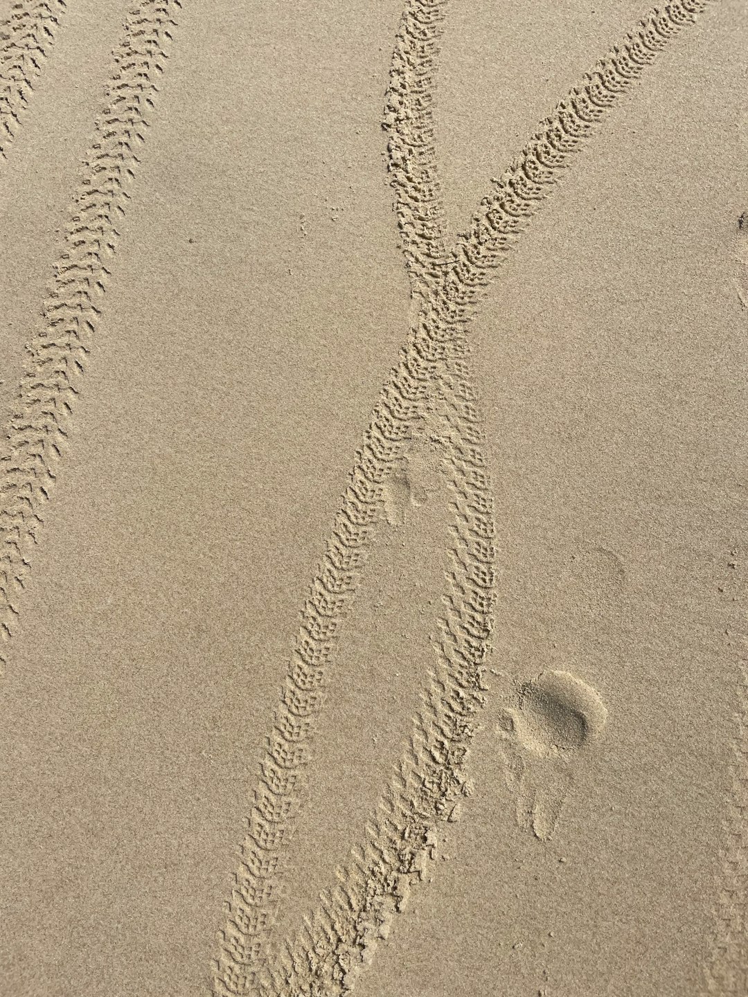 brown sand with heart shaped shadow