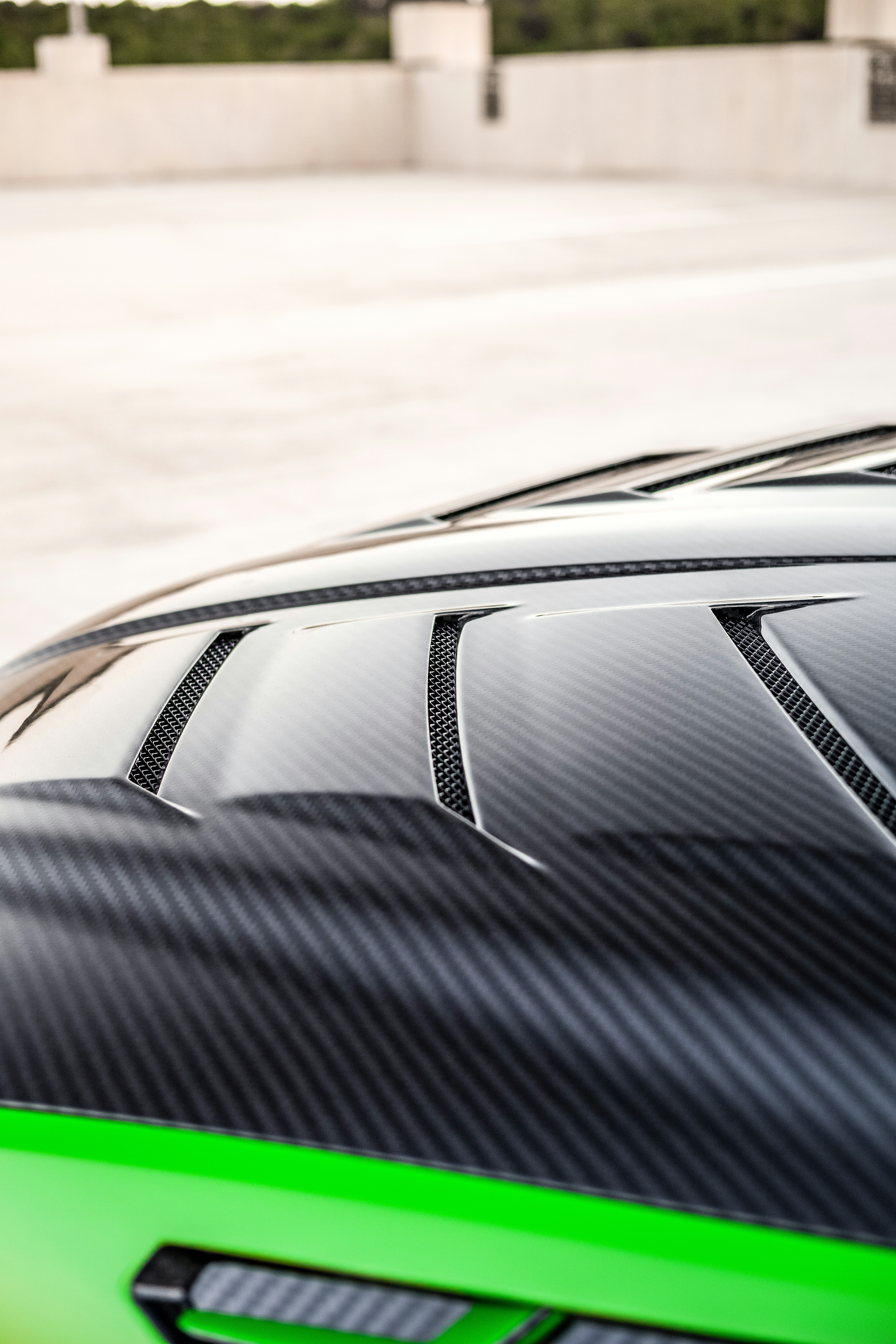 Photo by lonestarexotic