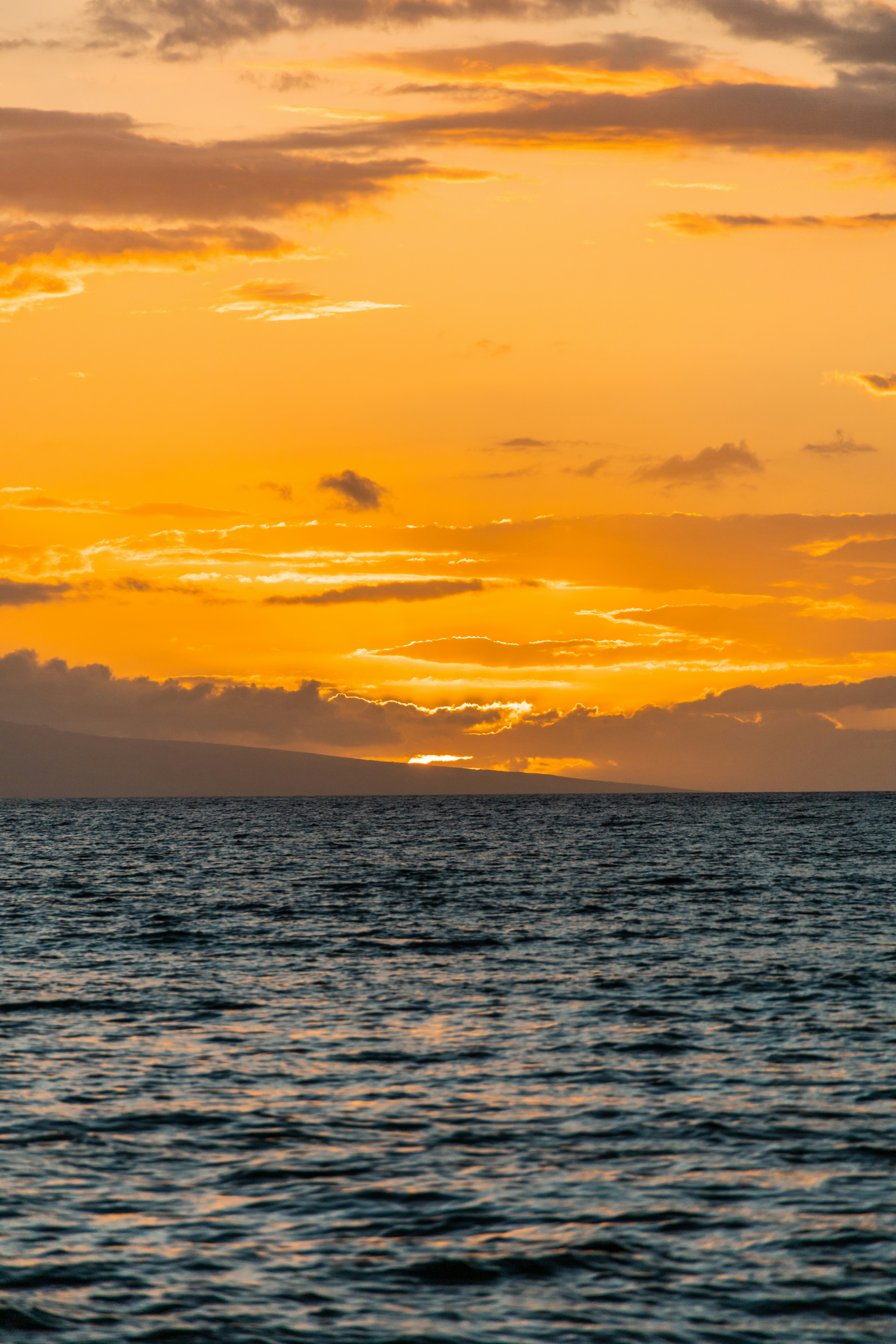 Photo by lonestarexotic