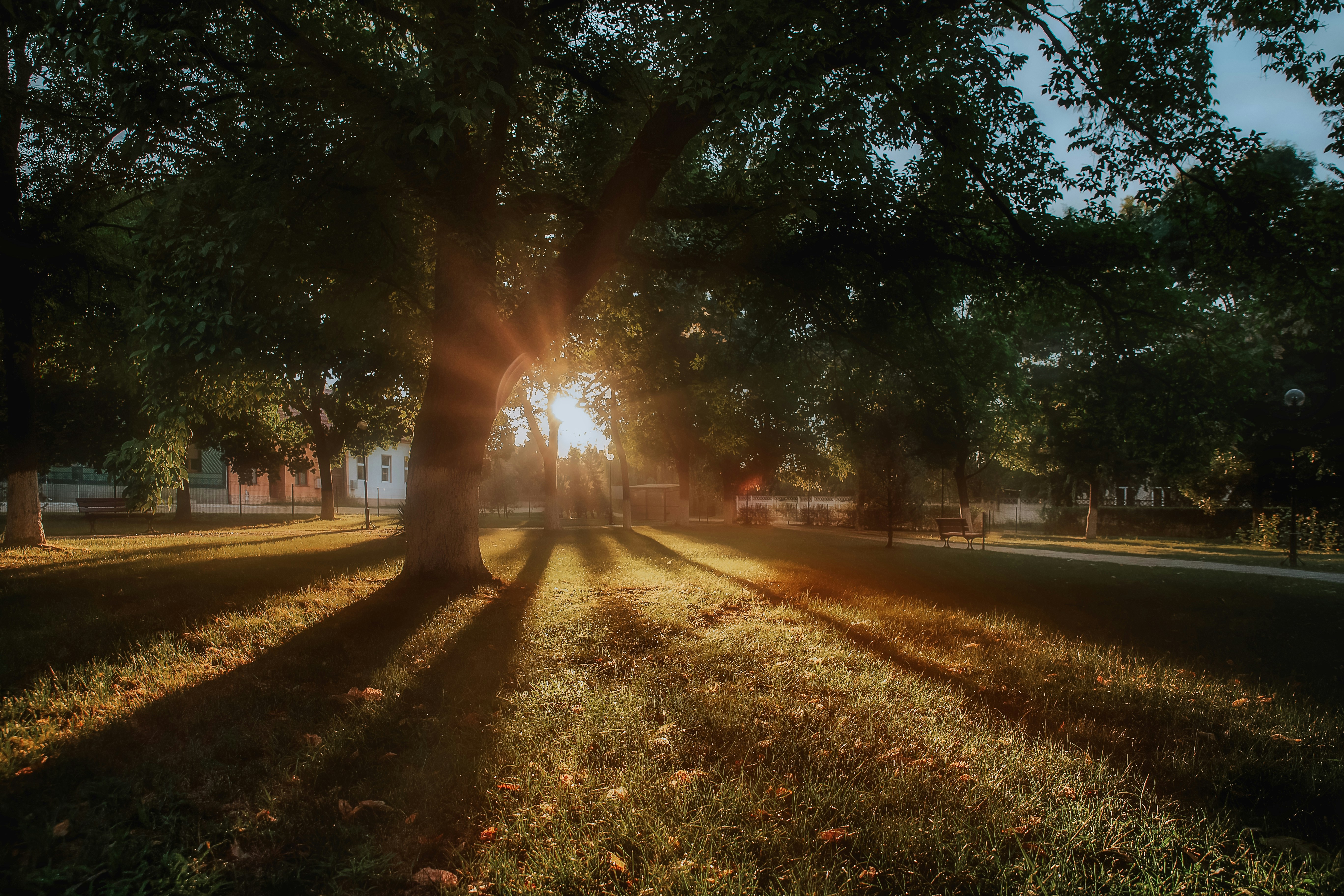 Photo by sylvester_s