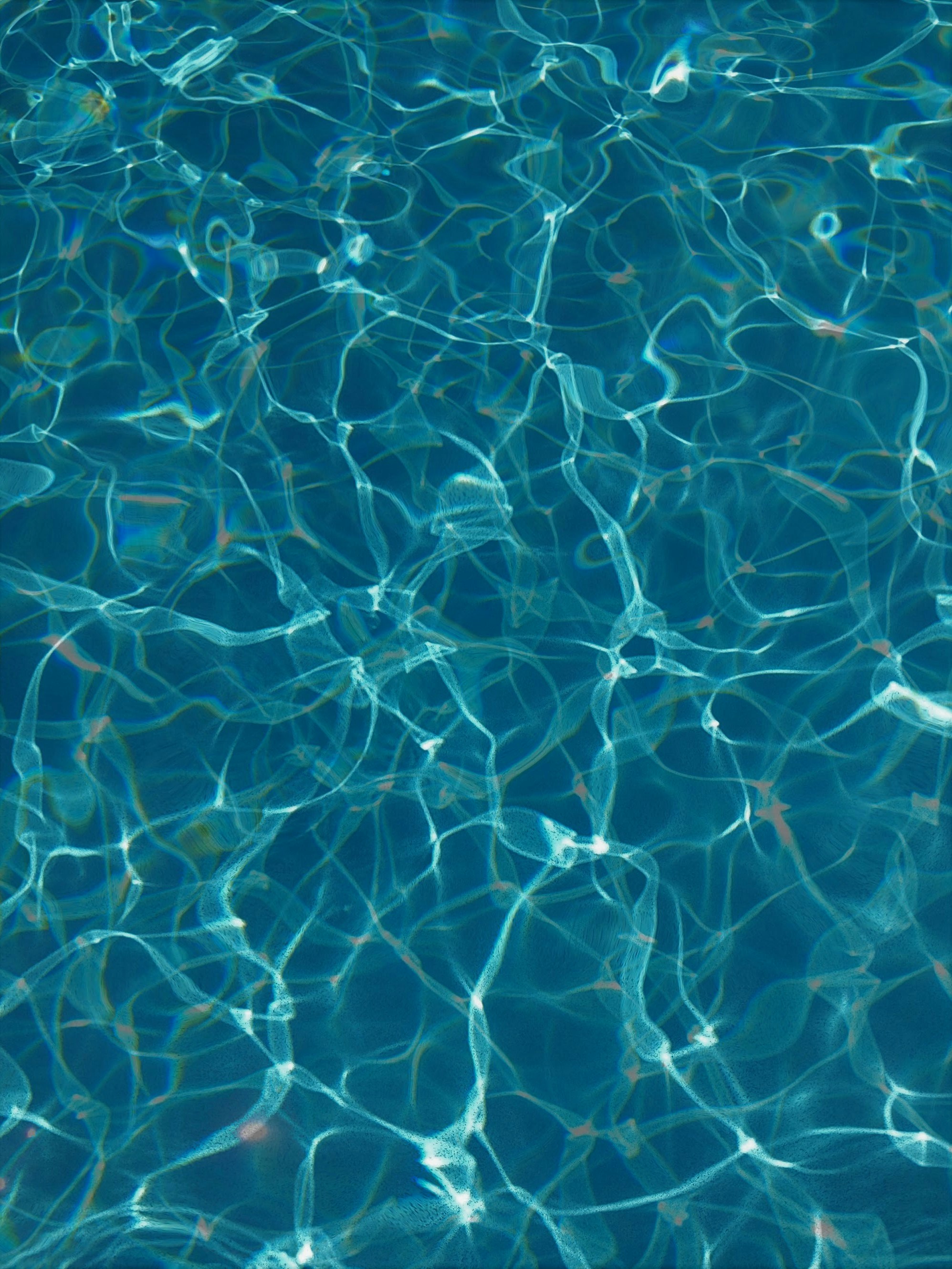 Photo by susan_wilkinson