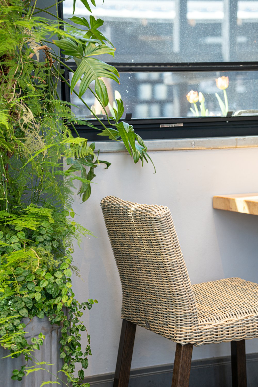 green plant beside brown wicker armchair