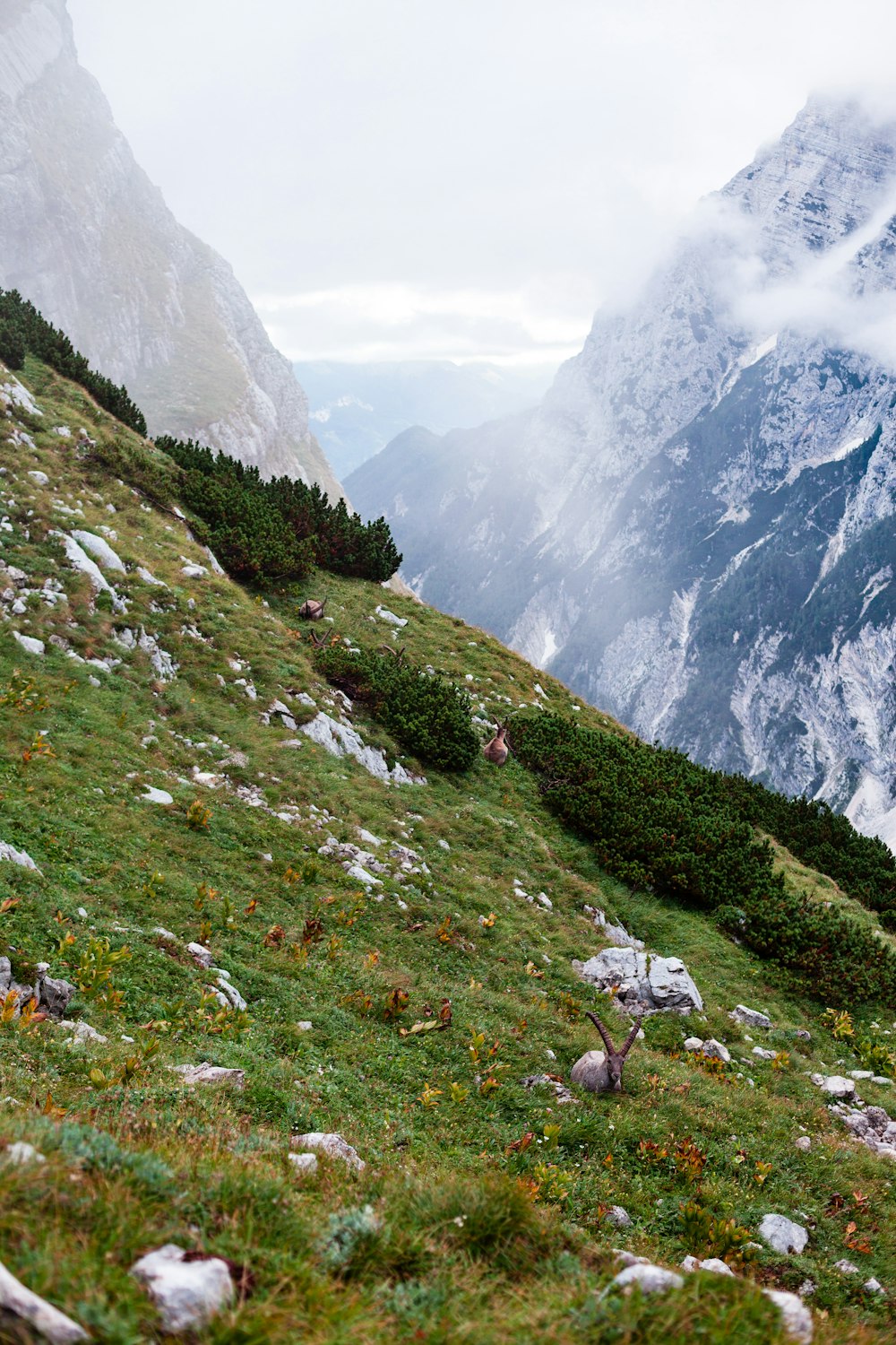 green grass field near mountain during daytime