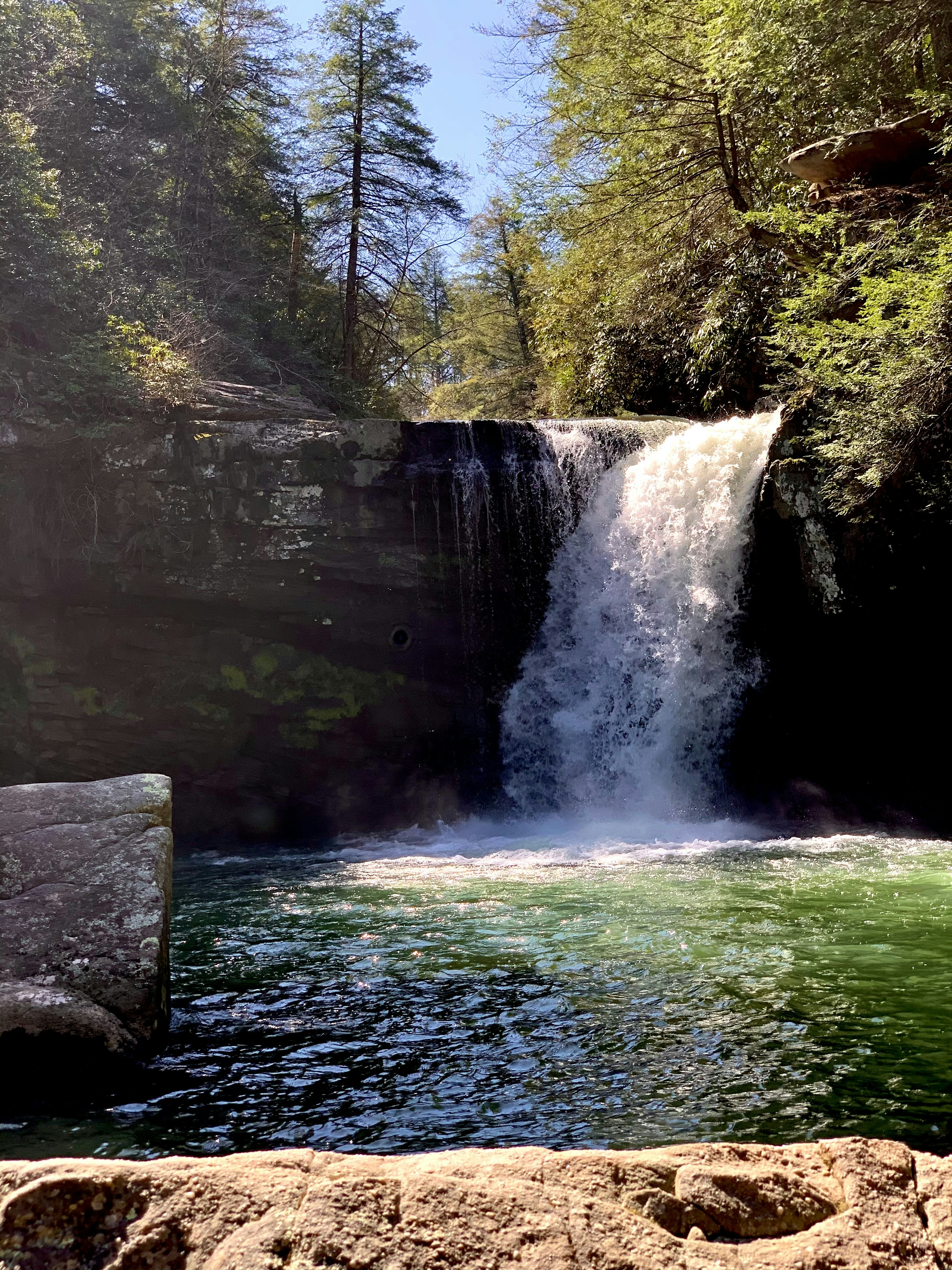 waterfalls in the middle of the forest