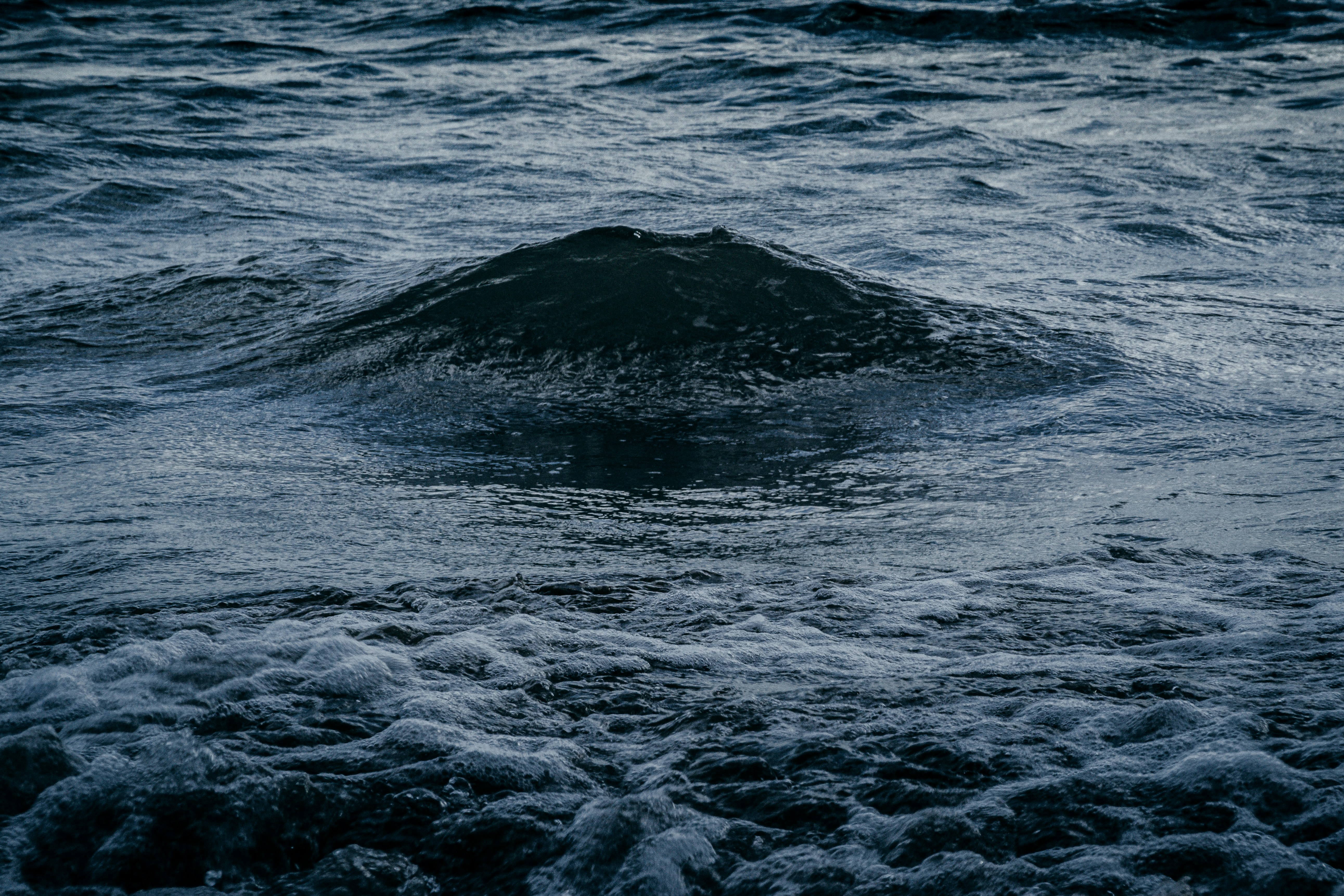 Photo by kalaniparker