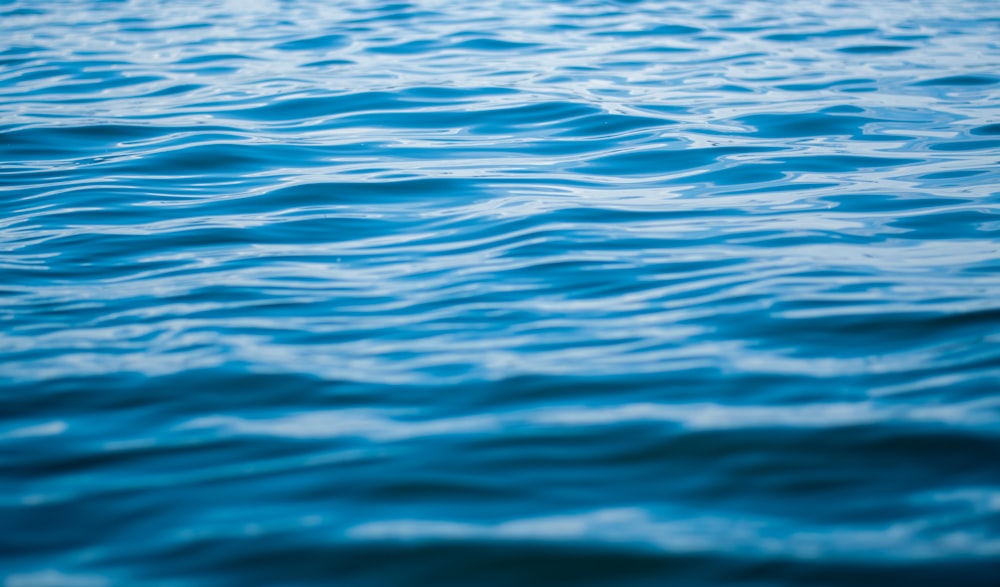 plan d’eau bleu pendant la journée