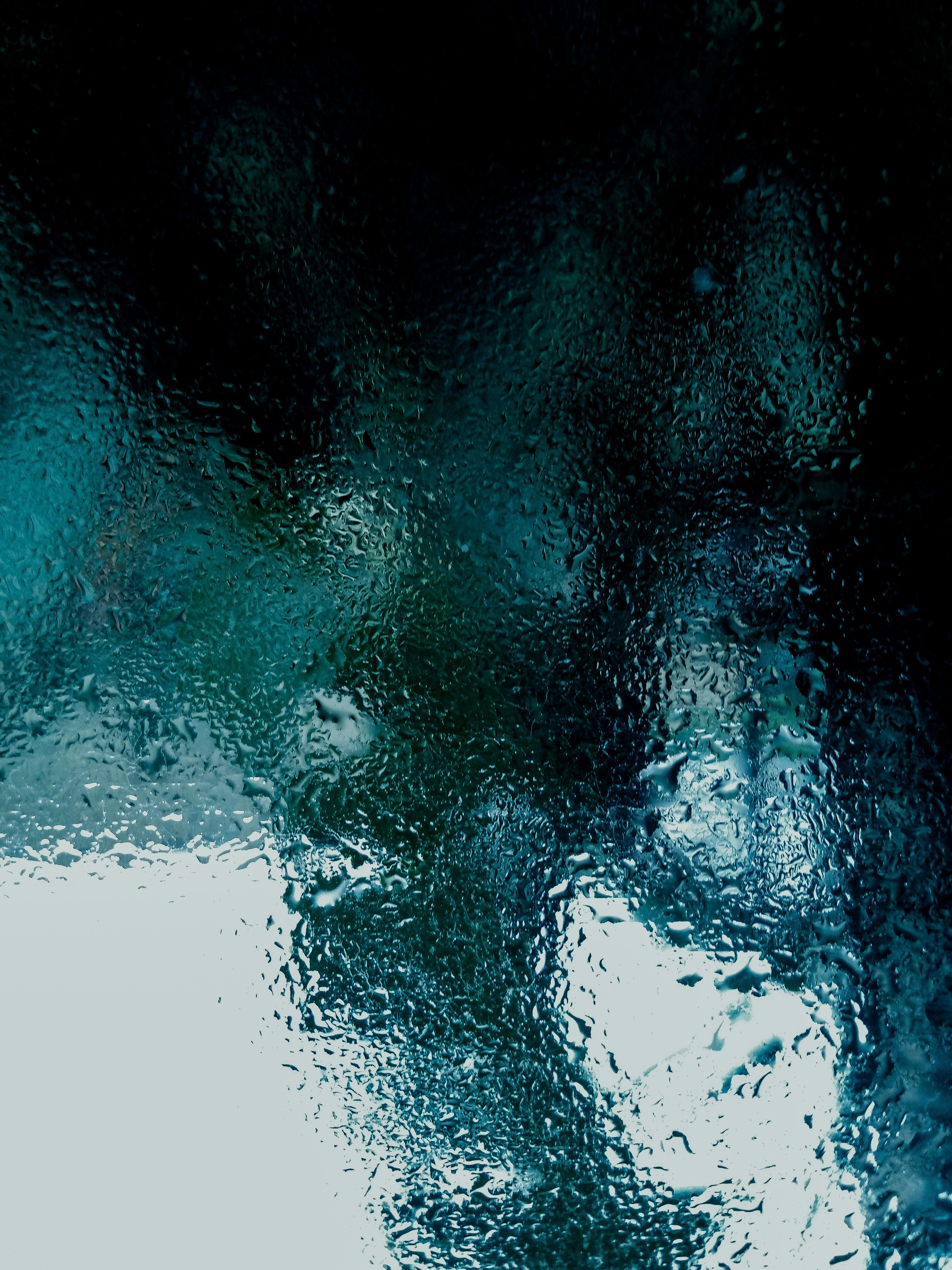 Photo by jmcreations