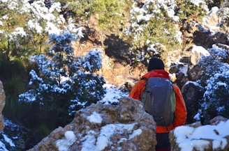 A person wearing a bright orange jacket and a backpack is seen from behind, navigating a snow-dusted rocky terrain, surrounded by trees partially covered in snow. The scene suggests a winter hiking or trekking expedition through a rugged landscape.