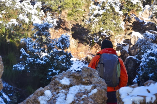 A person wearing a bright orange jacket and a backpack is seen from behind, navigating a snow-dusted rocky terrain, surrounded by trees partially covered in snow. The scene suggests a winter hiking or trekking expedition through a rugged landscape.