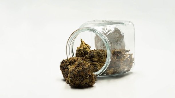A glass jar is tipped over, spilling dried cannabis buds onto a white surface. The buds are dense with a rich, greenish-brown color and visible trichomes.