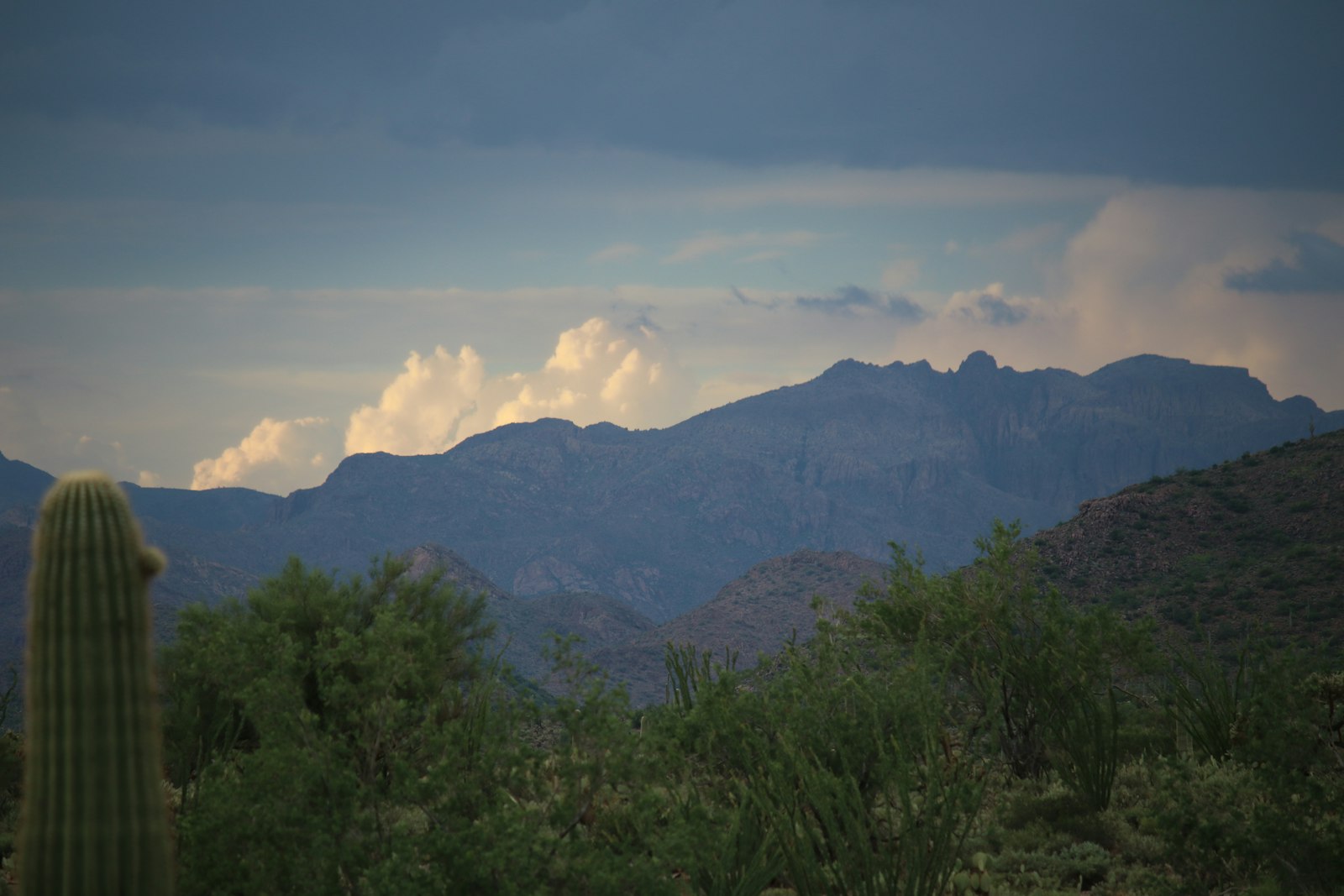 North Scottsdale desert landscape with mountains