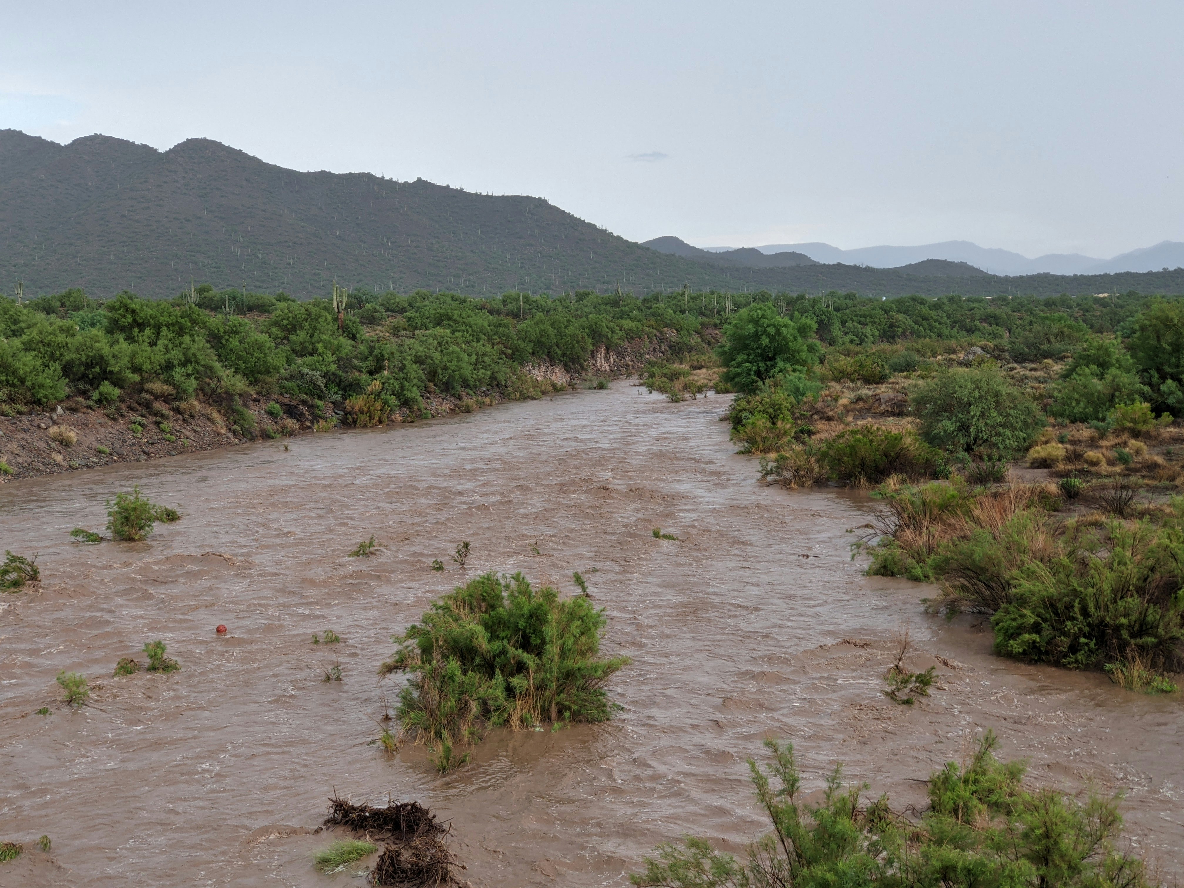 At least four dead in Arizona flash flood emergency