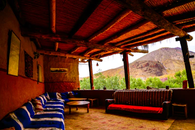 Rustic outdoor seating area with hammocks and natural wood elements blending into the forest.