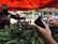 A vendor wearing a mask is holding and weighing green plantains at a market stall. Another person is holding an open wallet, preparing to pay. The stall is covered by a red canopy, and there are more customers in the background. The scene appears to be in an outdoor market setting.