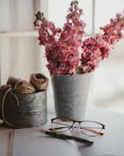 black framed eyeglasses on pink flowers in gray pot