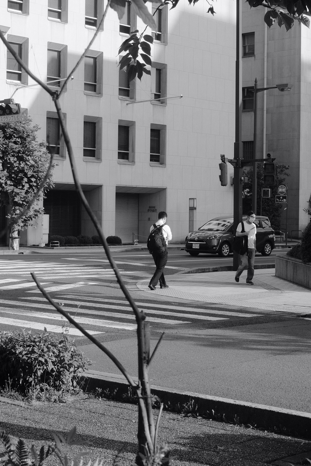 grayscale photo of man walking on pedestrian lane