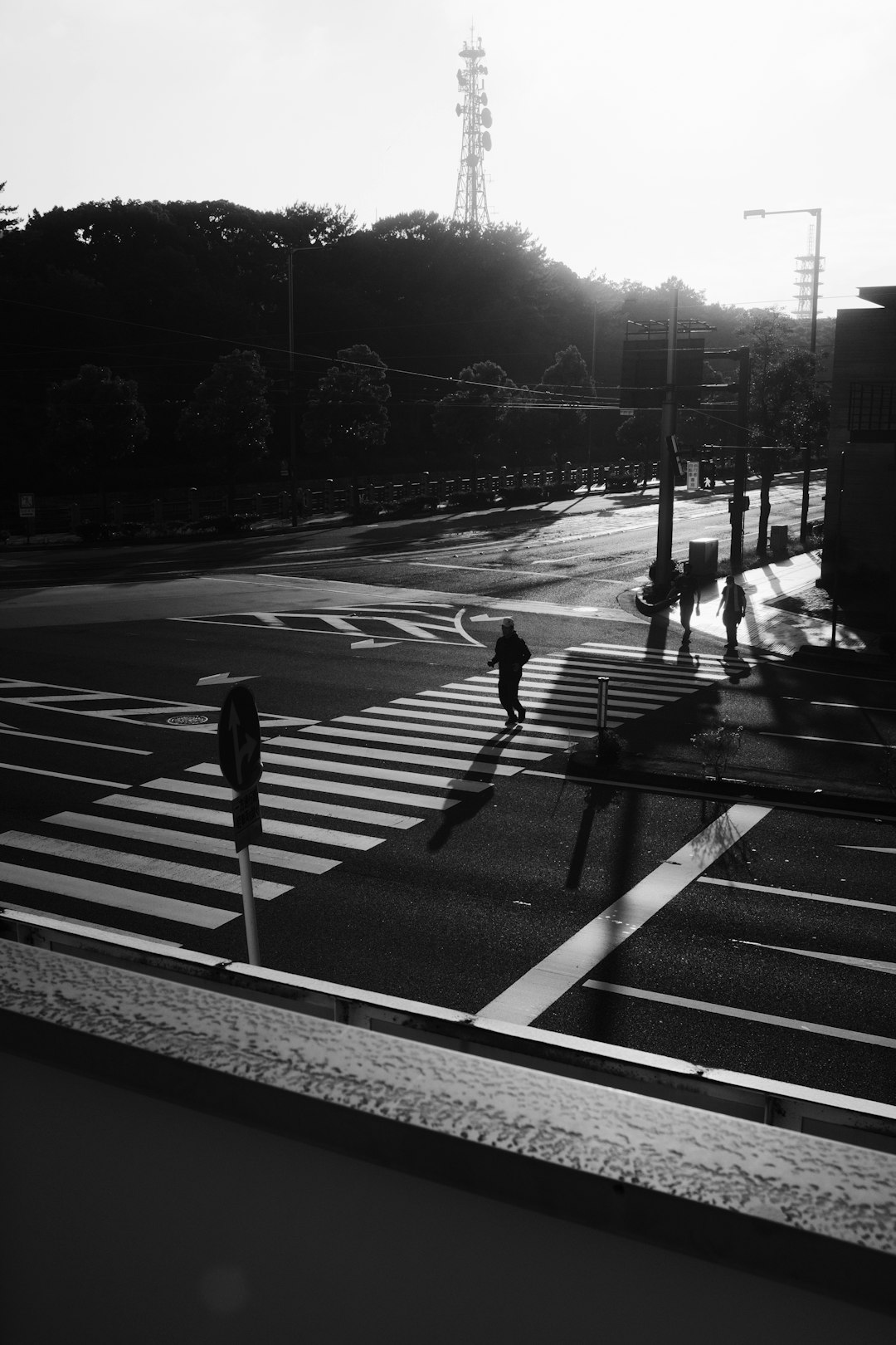 grayscale photo of 2 person walking on sidewalk