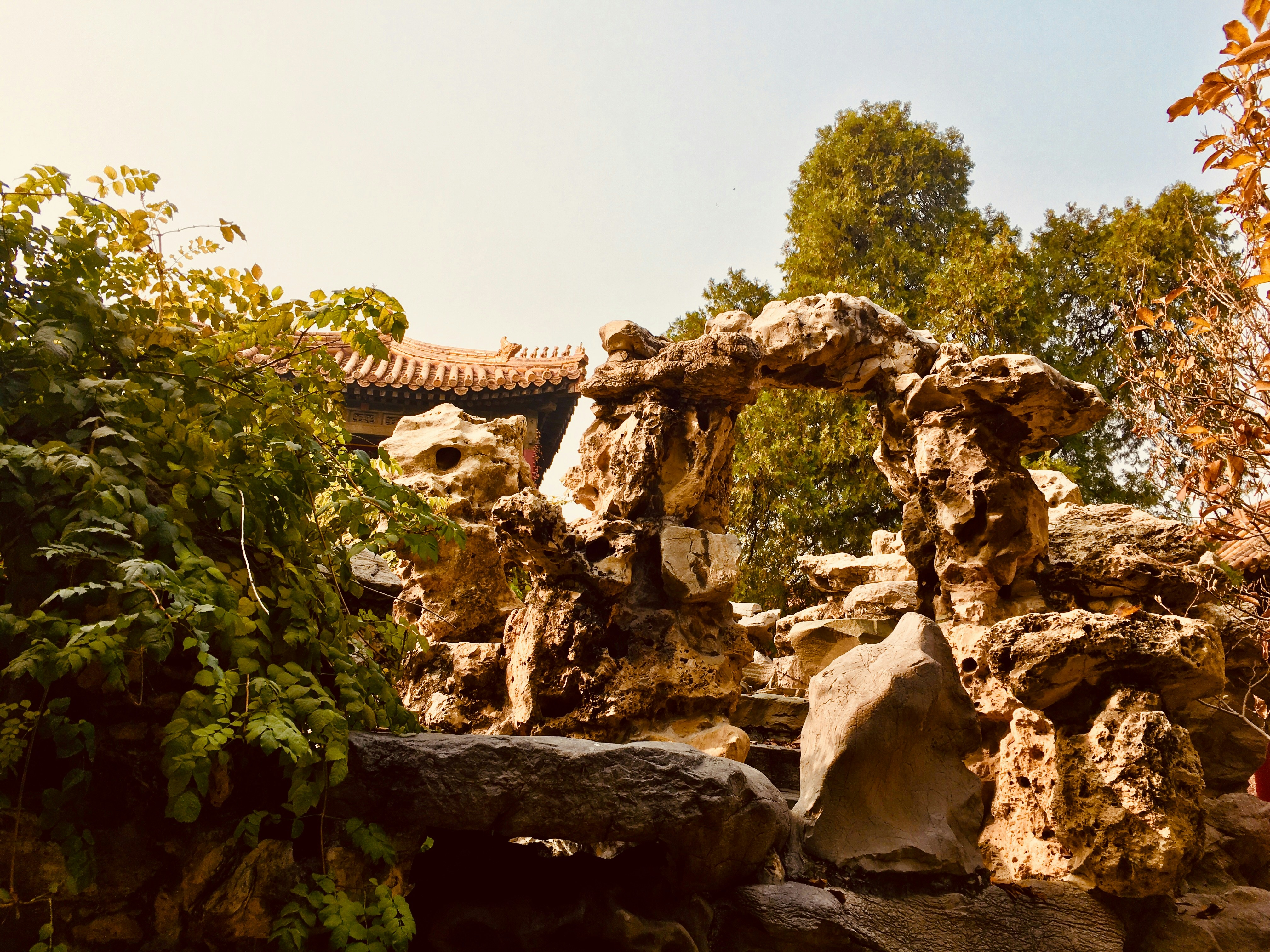 brown rock formation near green trees during daytime