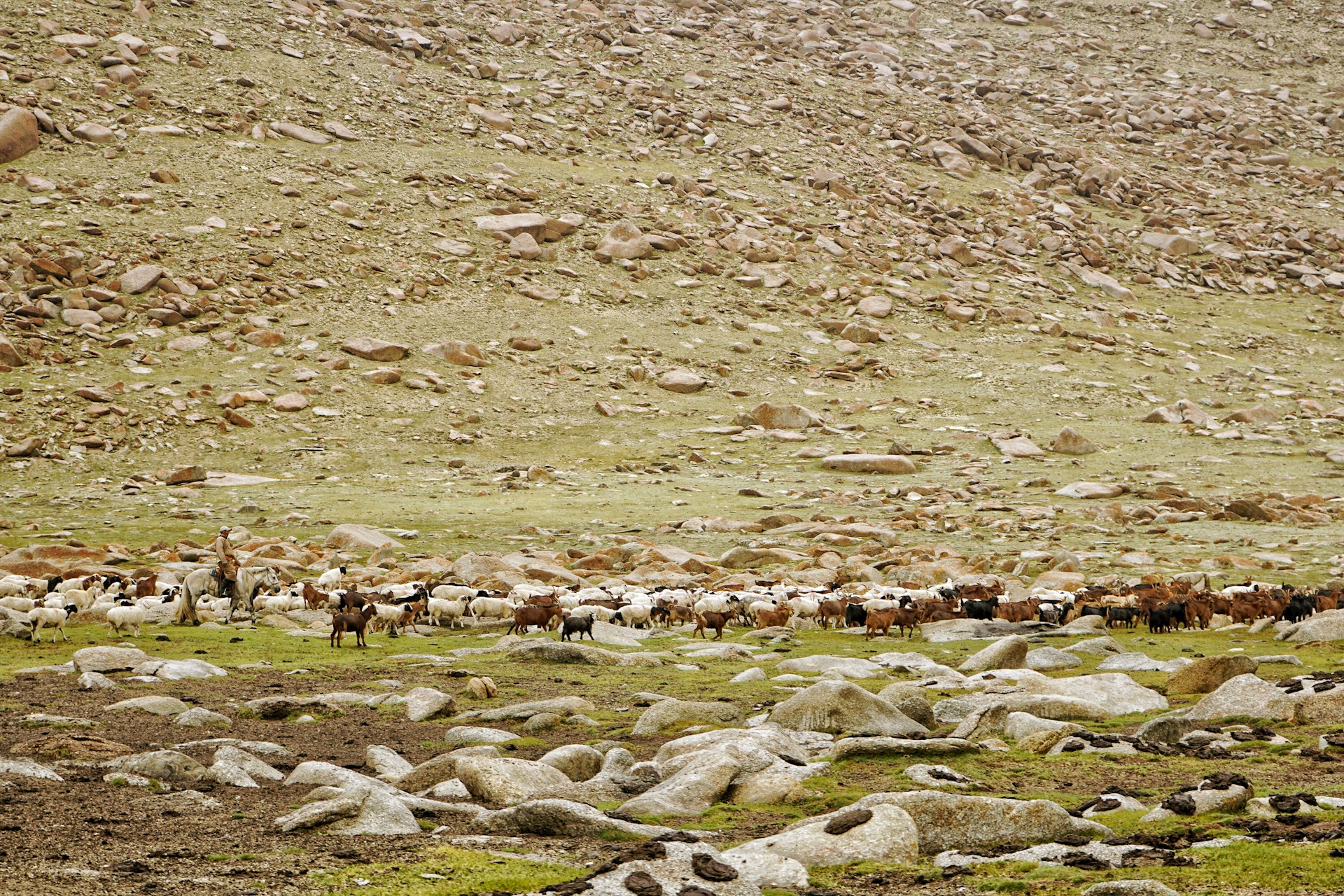 gray computer monitor