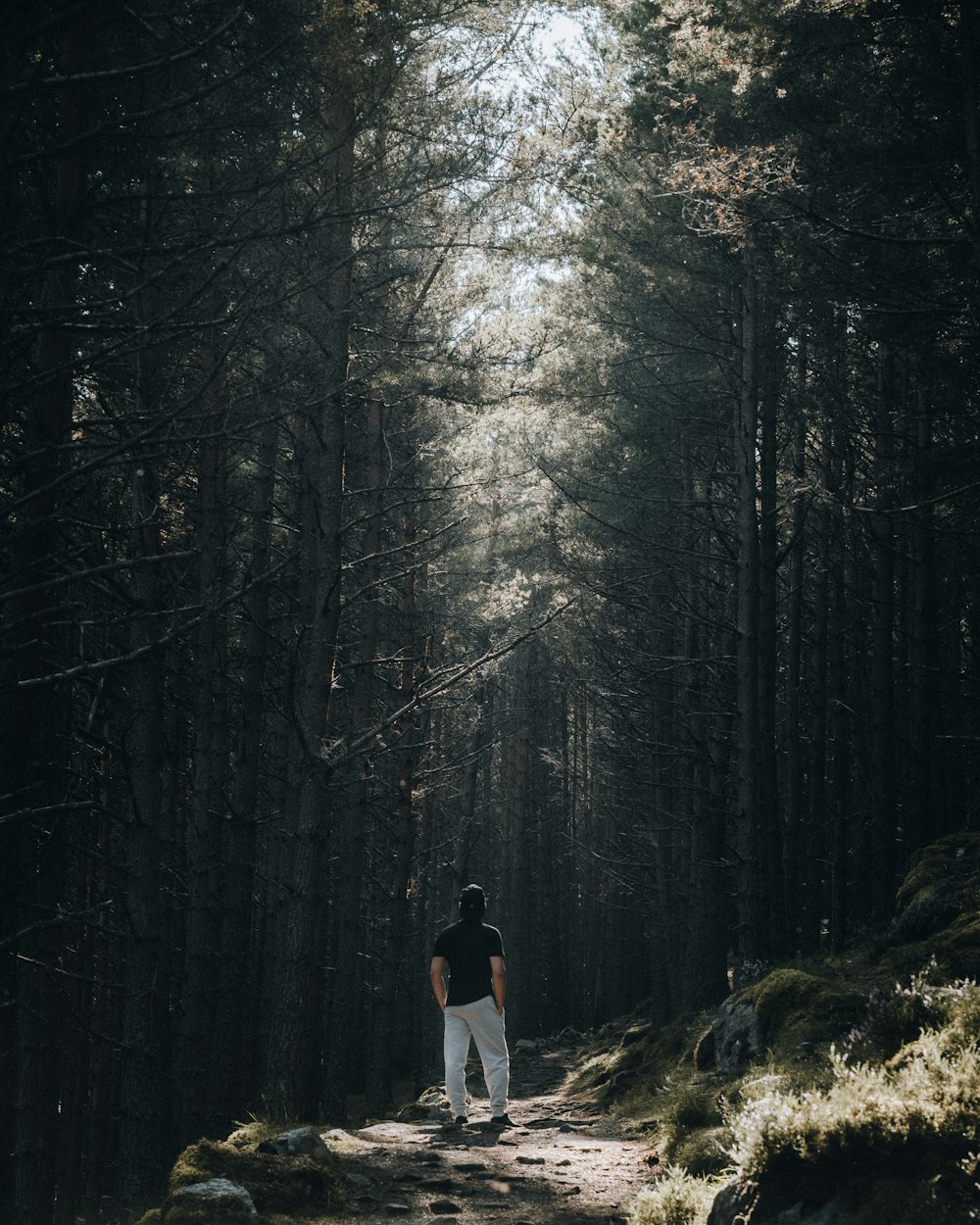 man in white shirt standing in the middle of forest