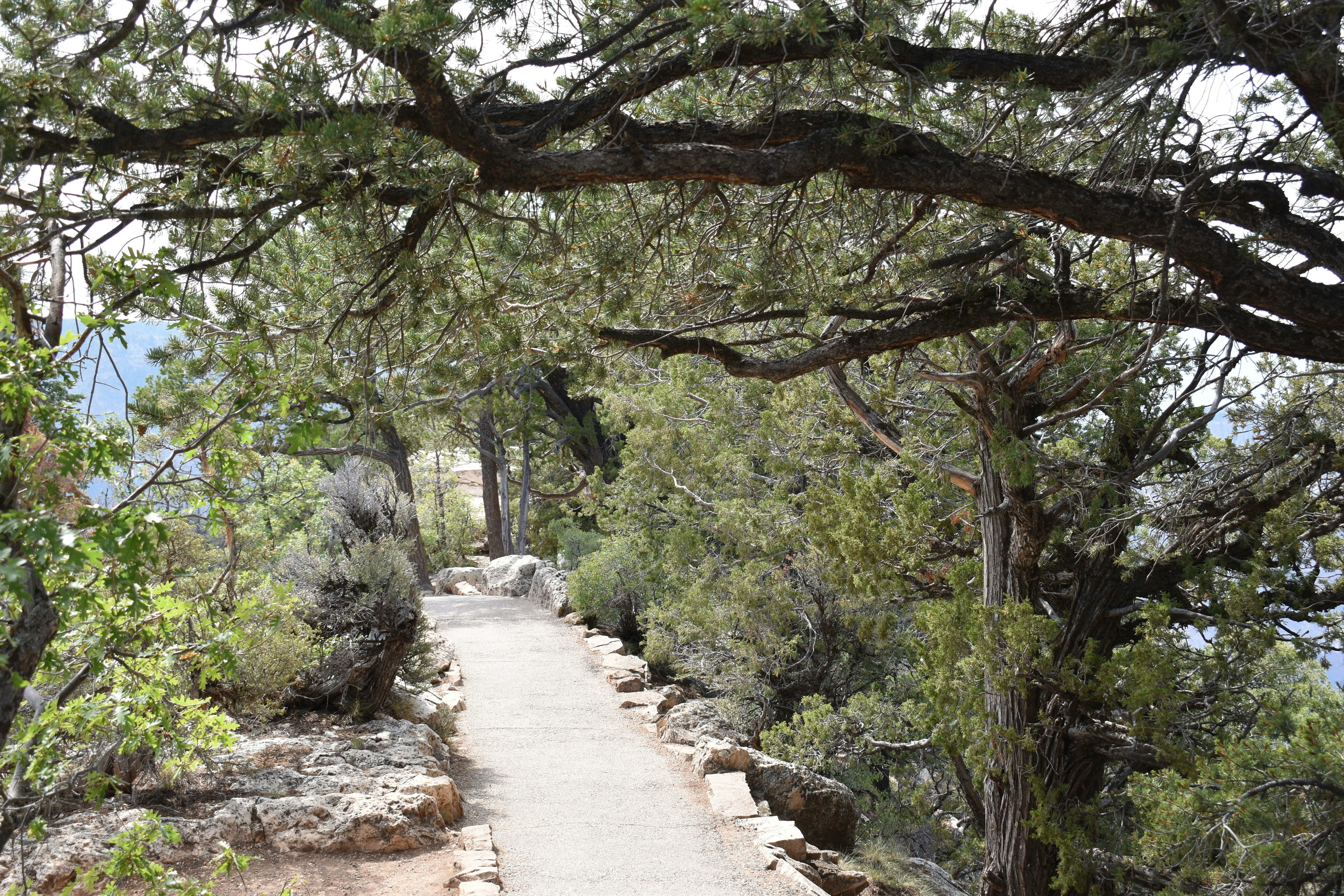 Old Spanish Walking Trails