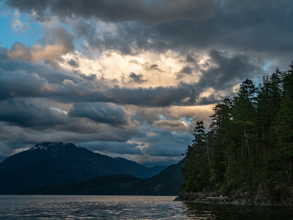 green trees near body of water under cloudy sky during daytime