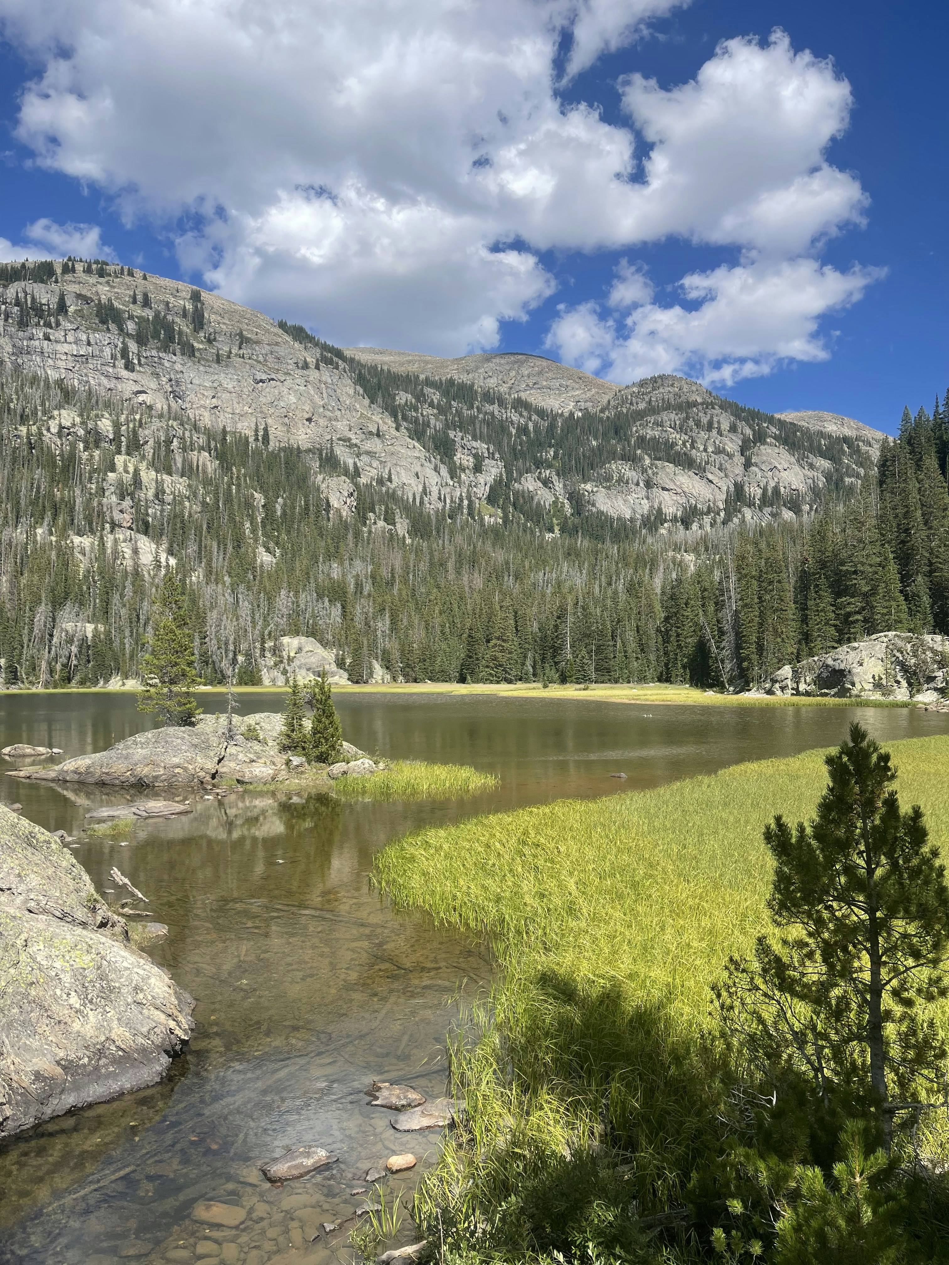 Photo by laitonbarbo