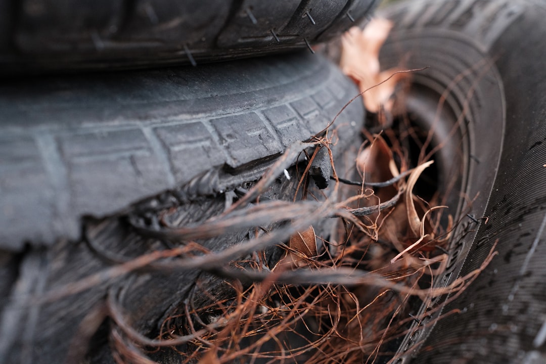 black car tire on brown dried leaves, Close up of shredded car tyre.