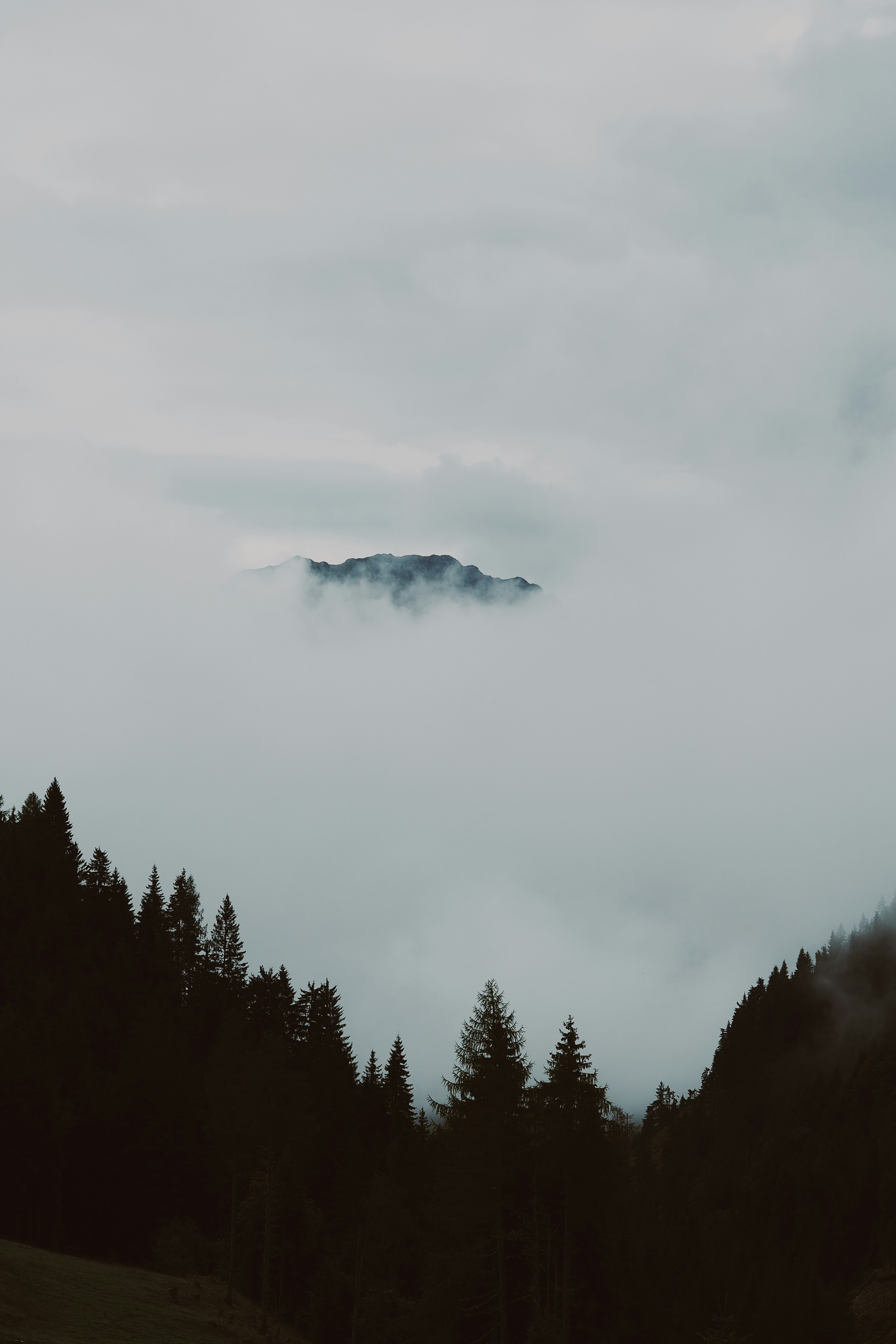 Photo by laurachouette