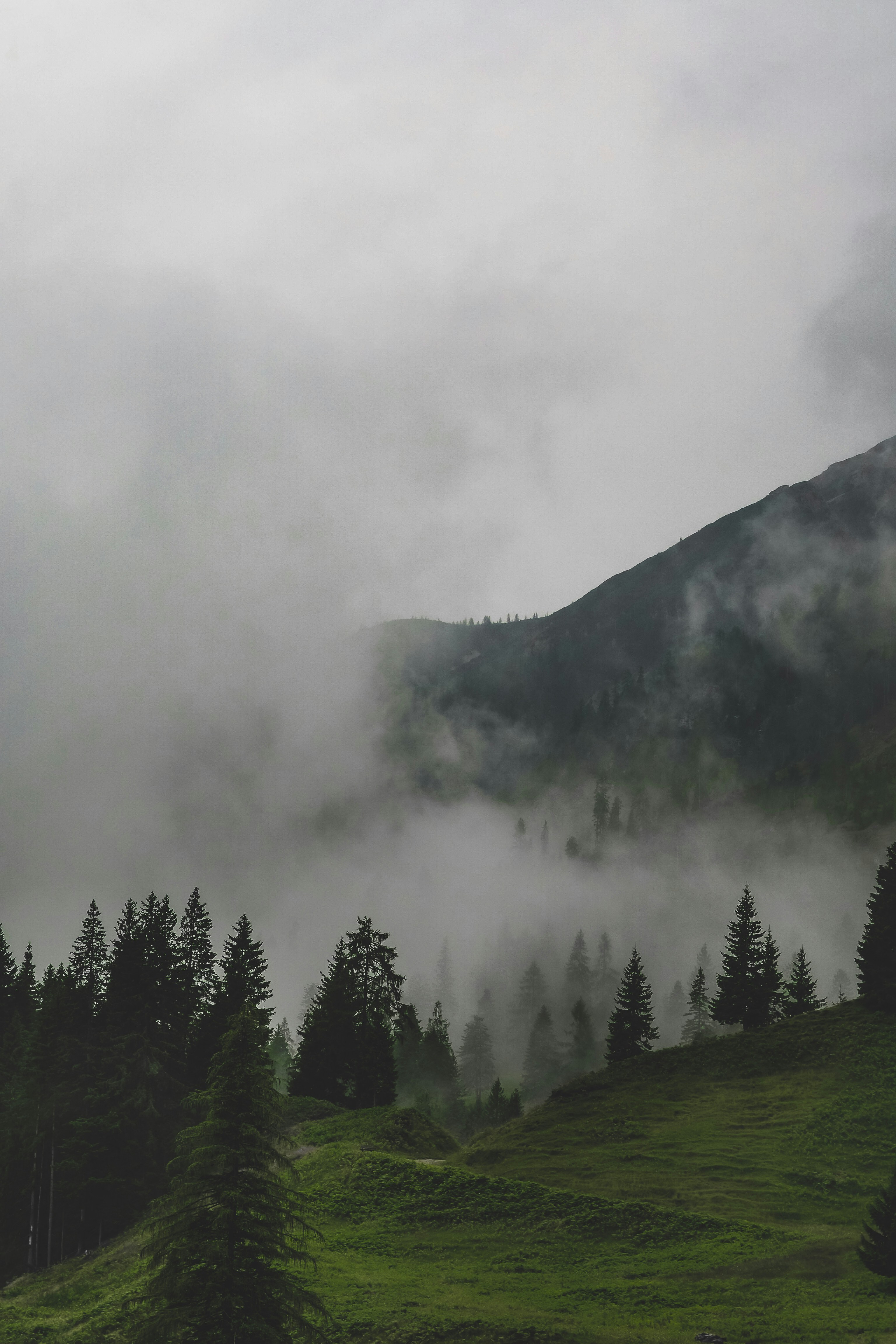 Photo by laurachouette