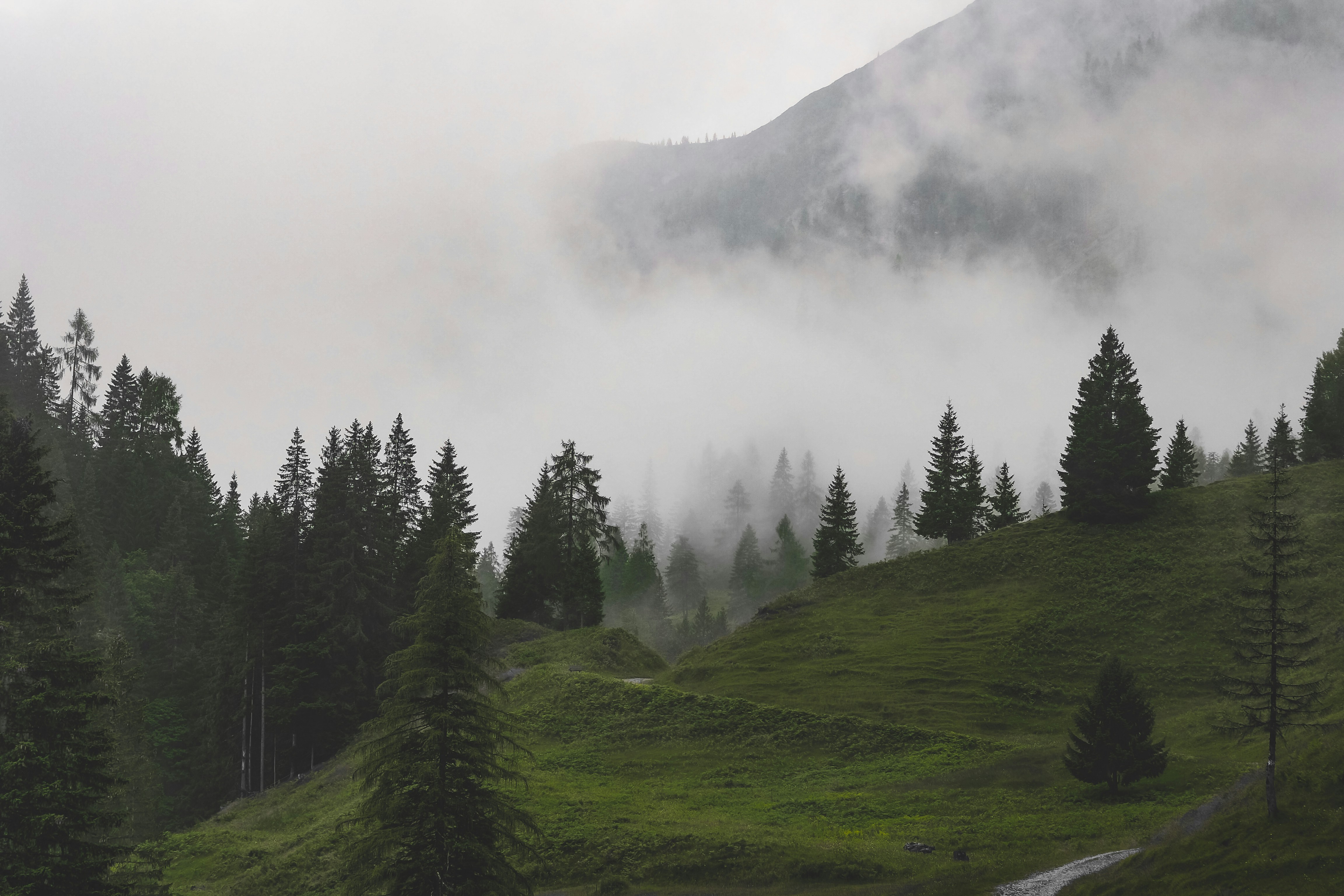 Photo by laurachouette