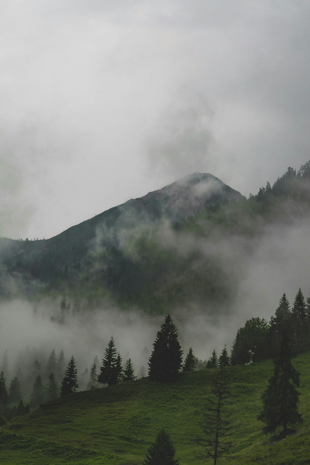 green trees on mountain under white clouds during daytime
