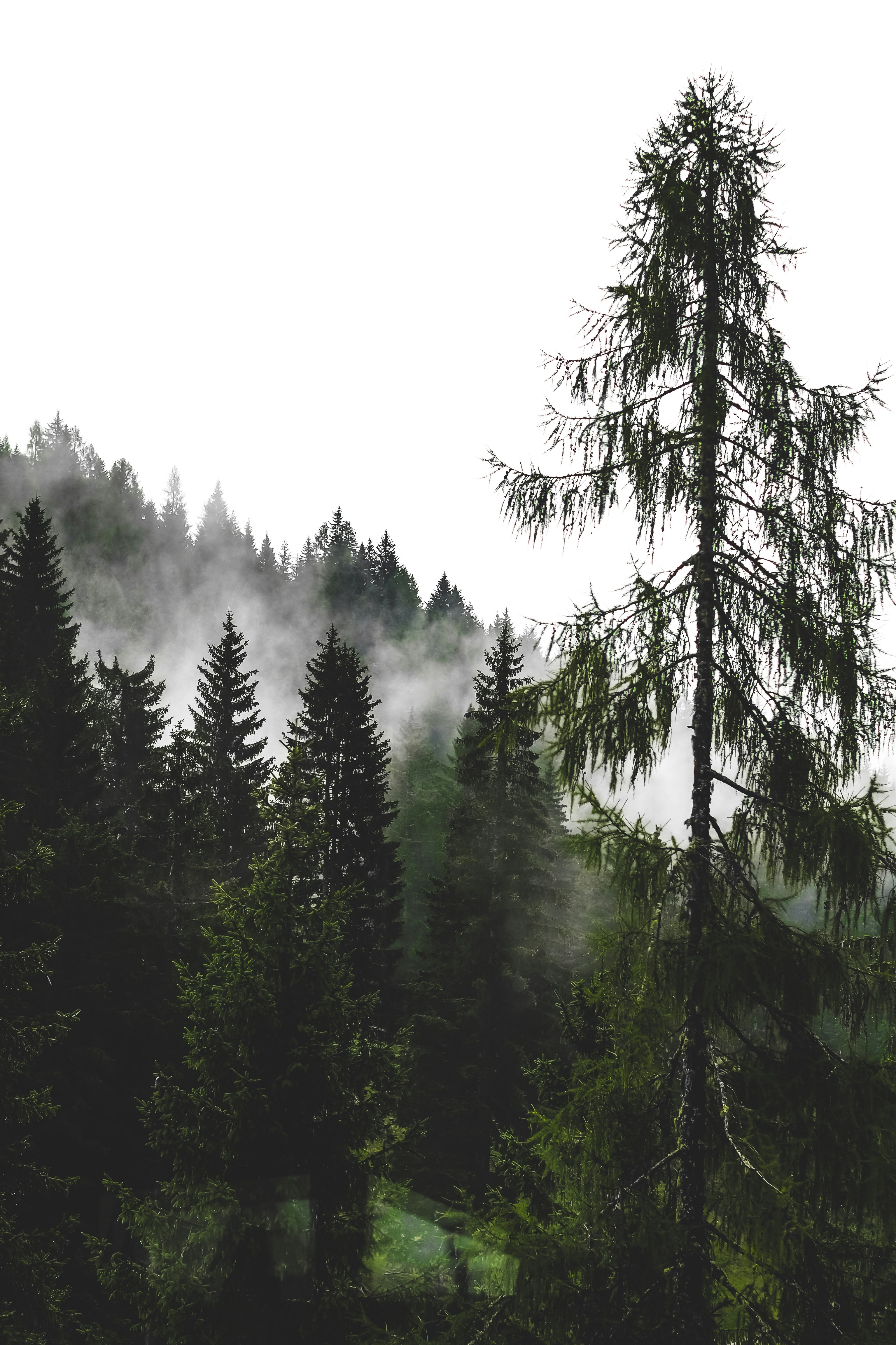 Photo by laurachouette