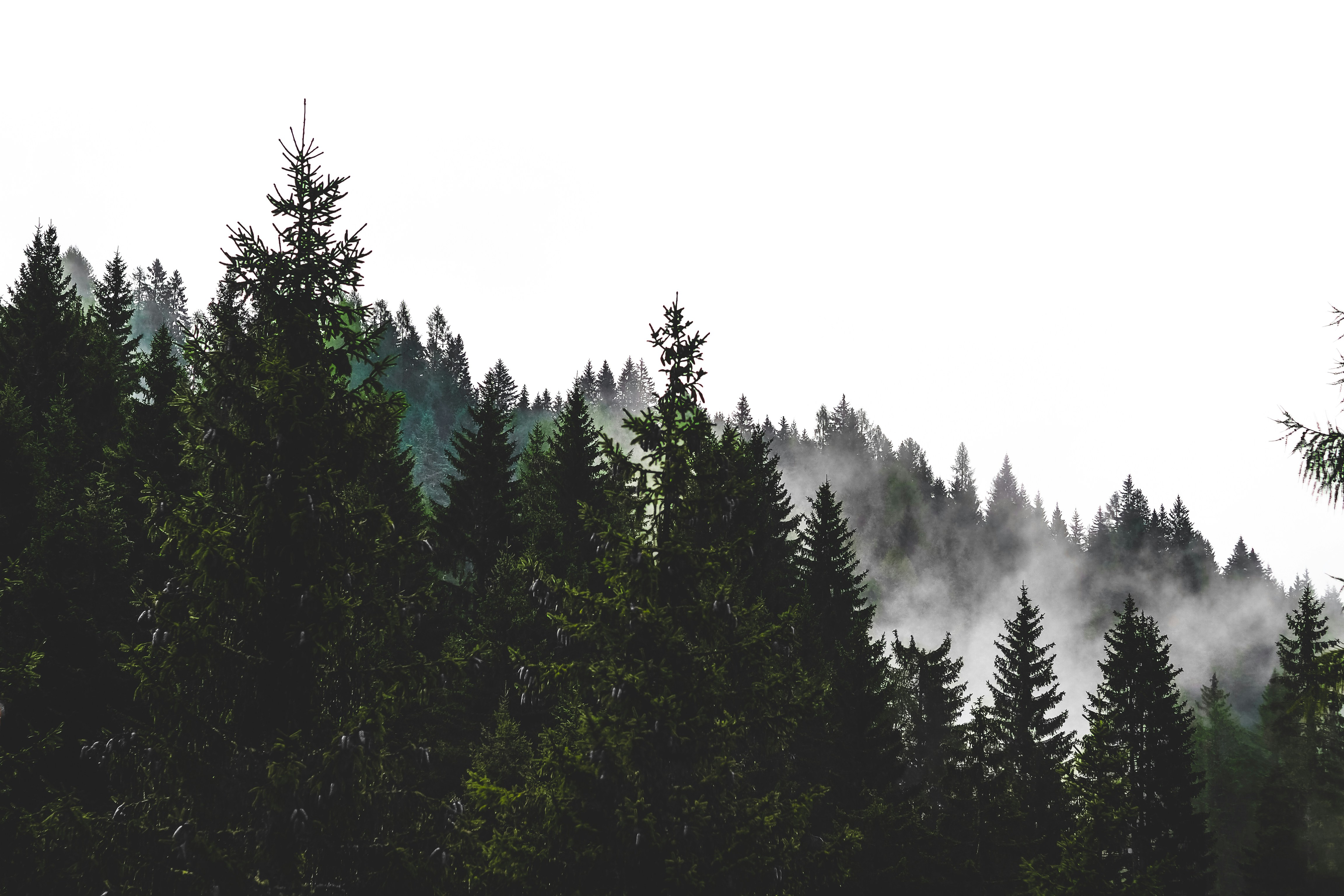 Photo by laurachouette