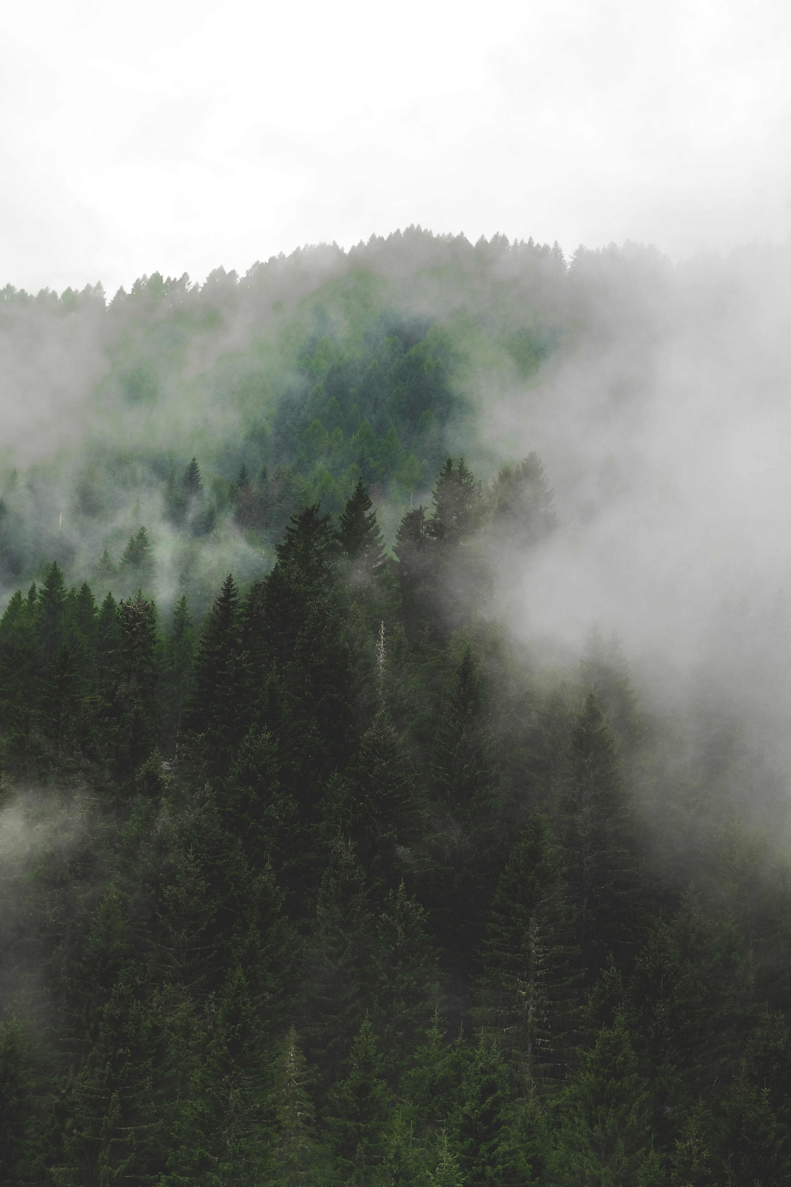 Photo by laurachouette