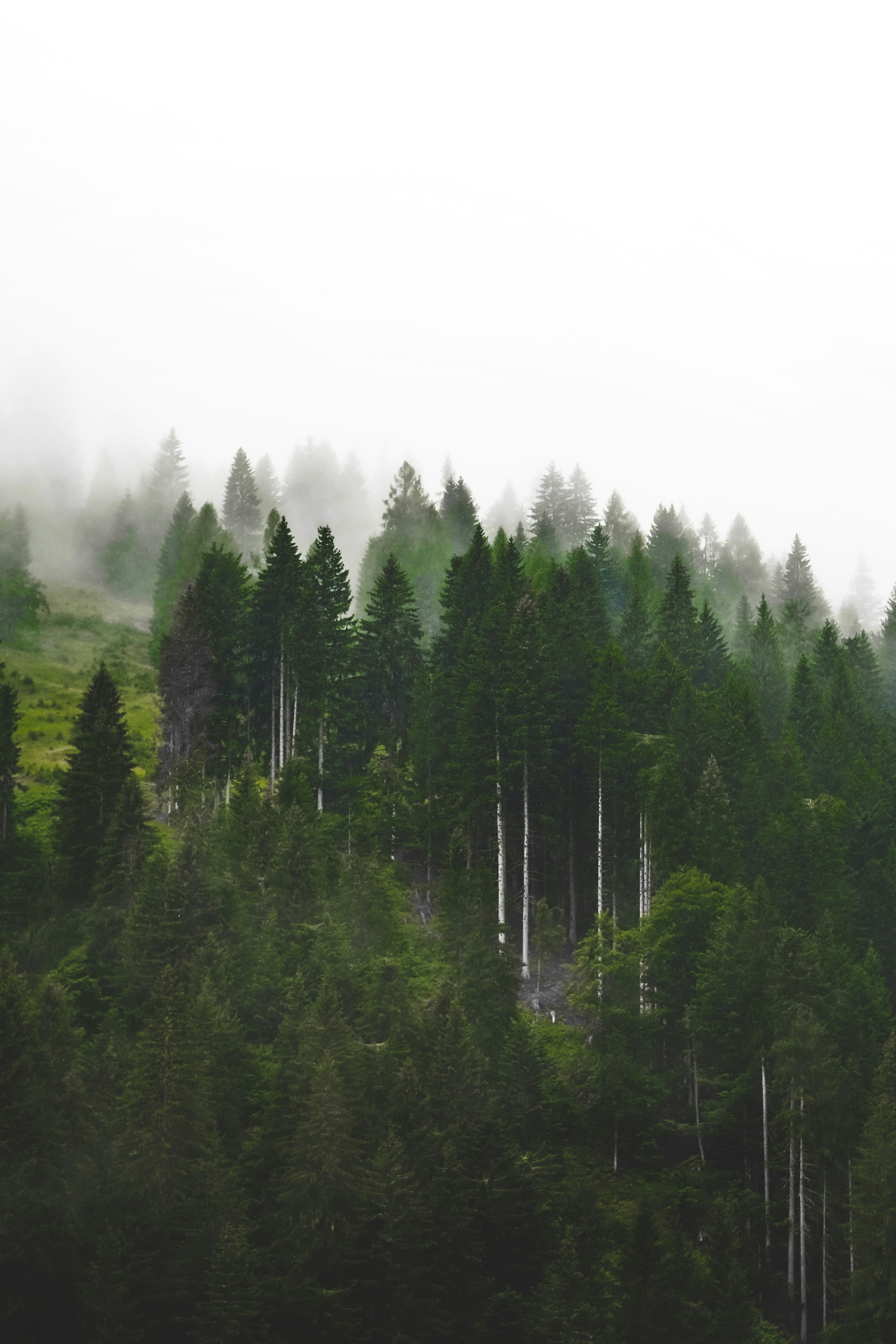 Photo by laurachouette