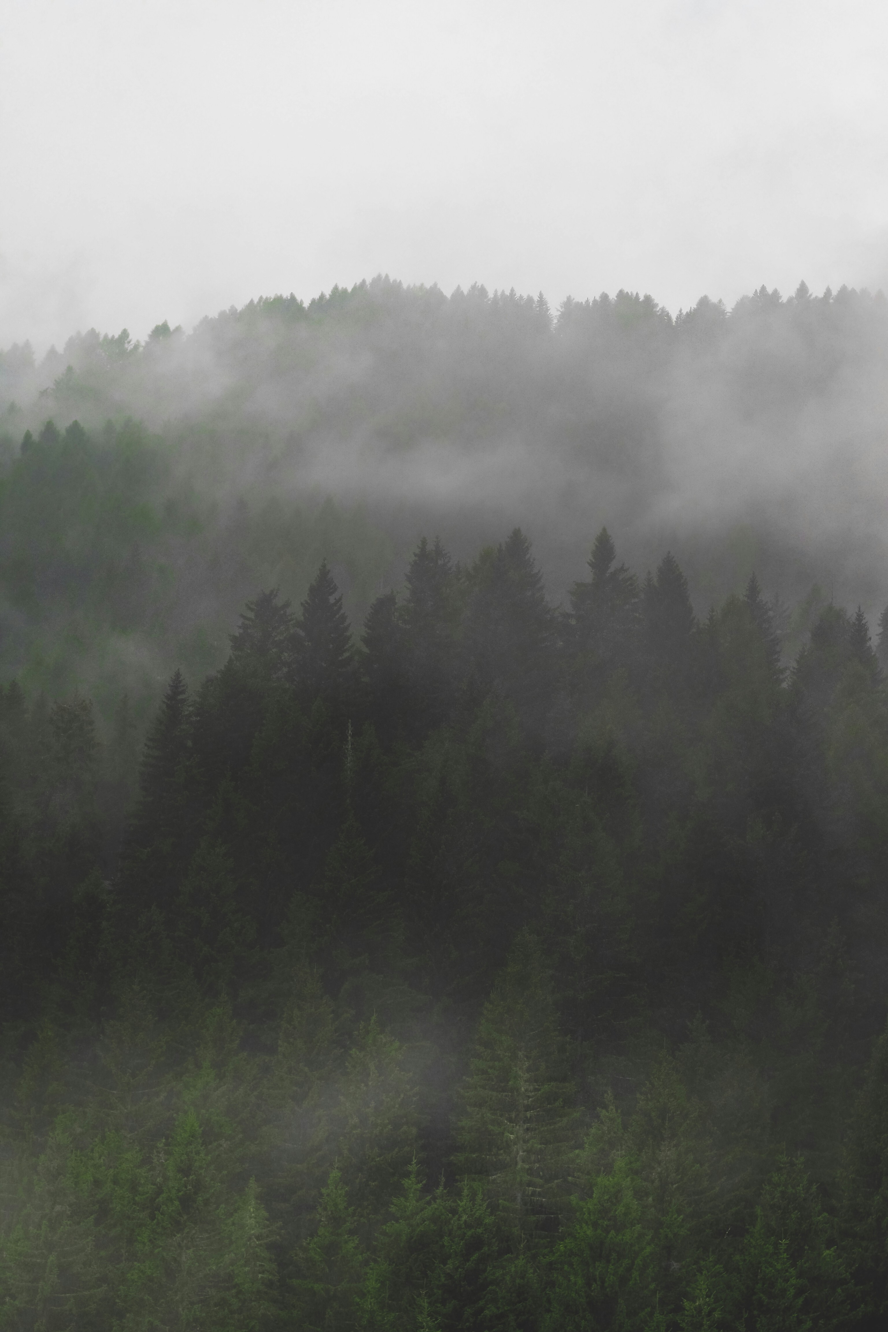 Photo by laurachouette