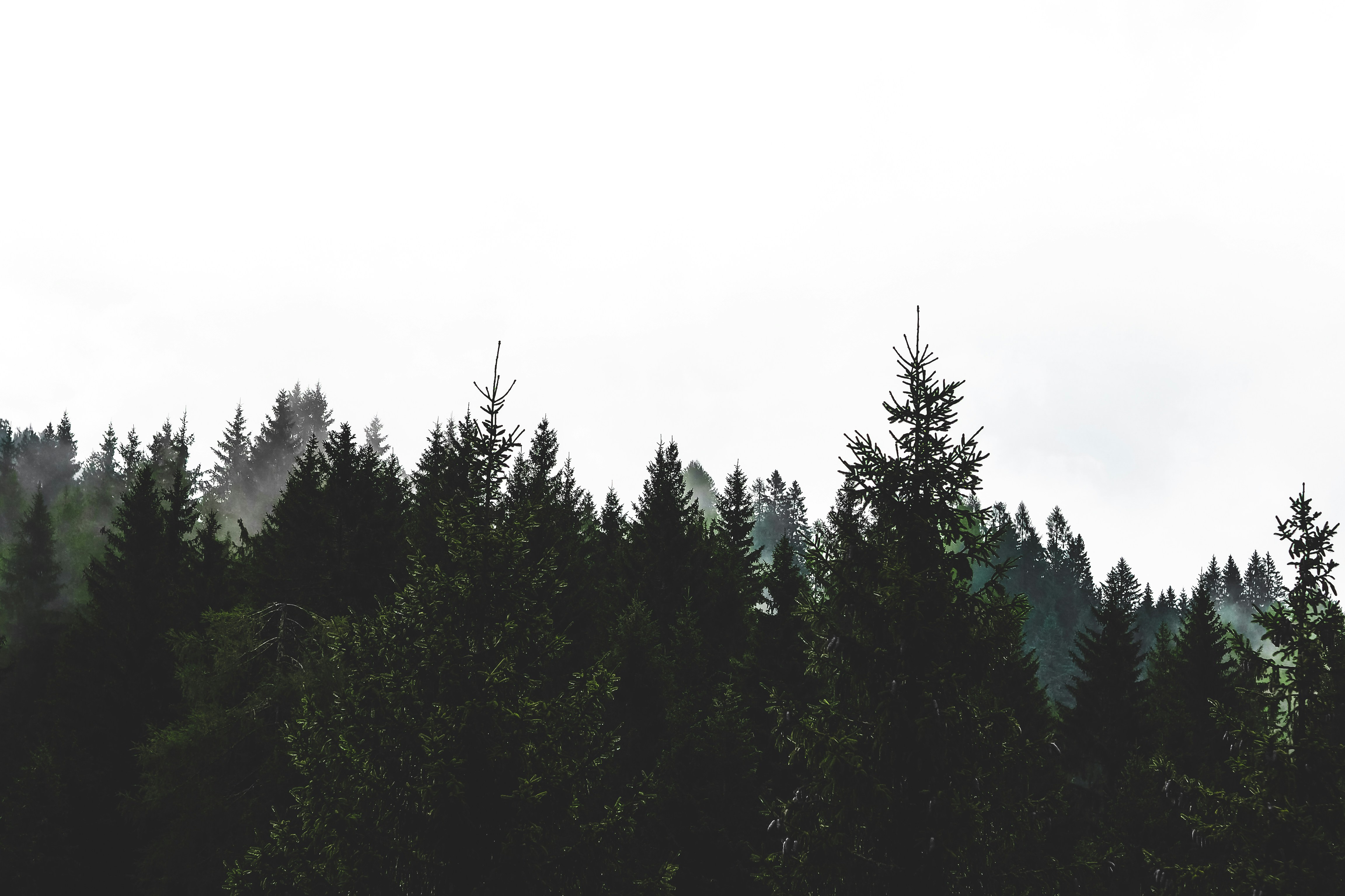 Photo by laurachouette