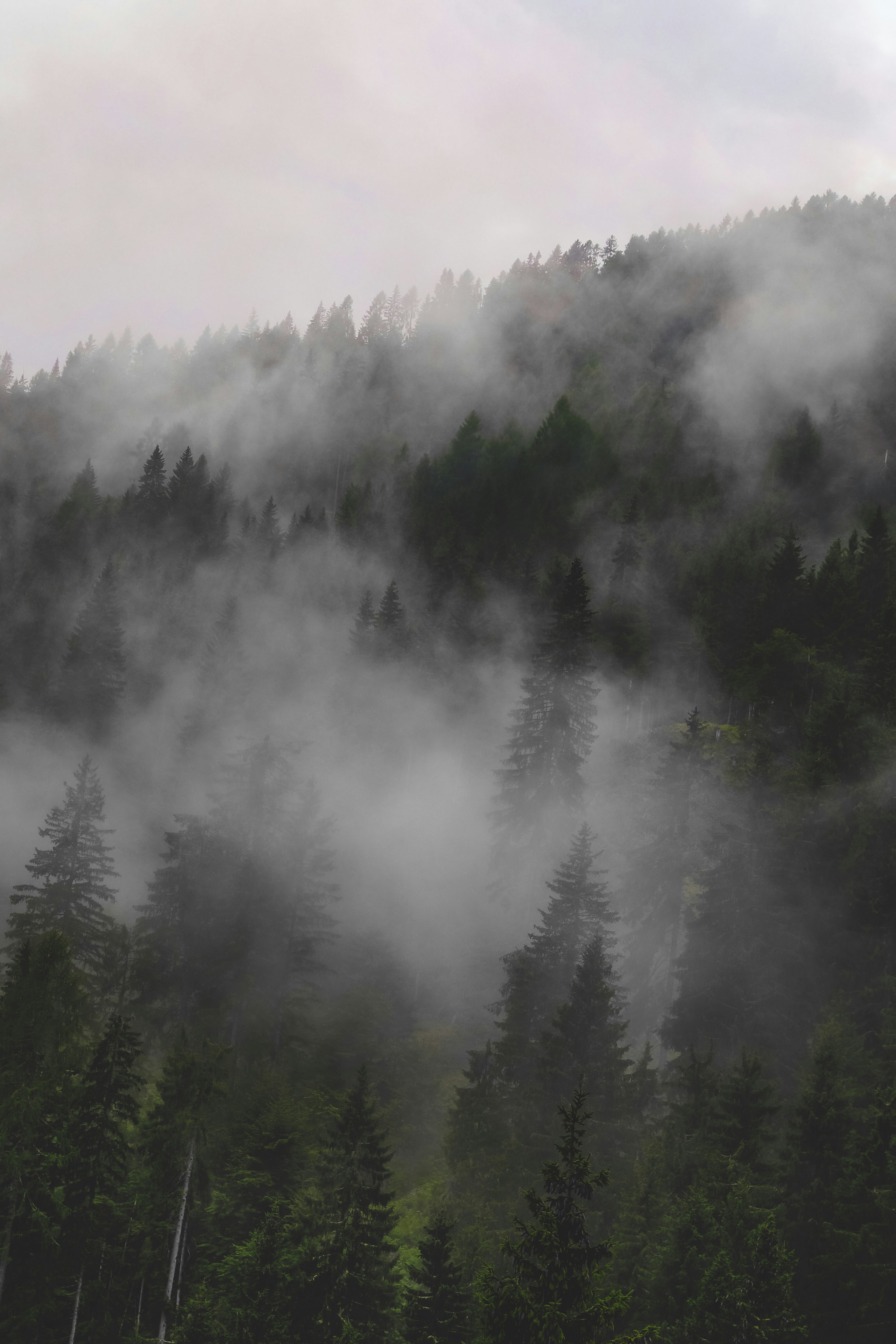 Photo by laurachouette