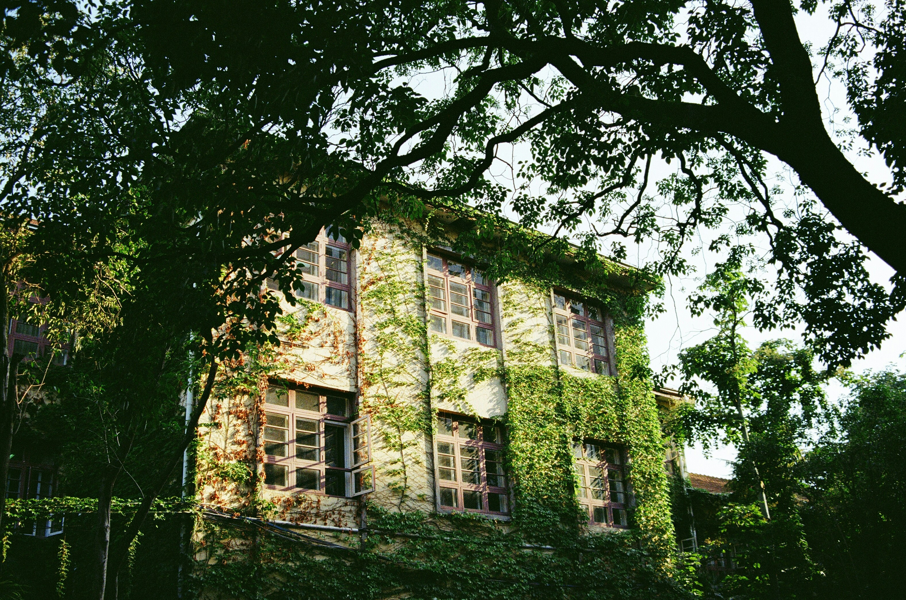 *   科技冷知識：iPhone隱藏按鈕，99%的人不知道！