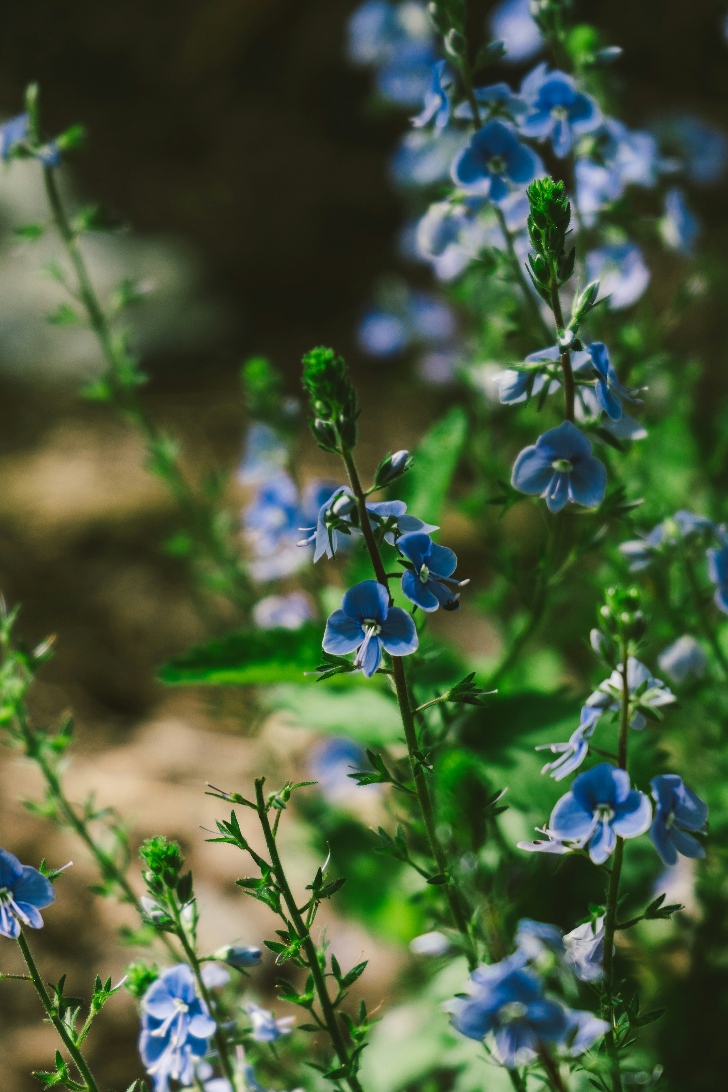 Photo by thestefankostic