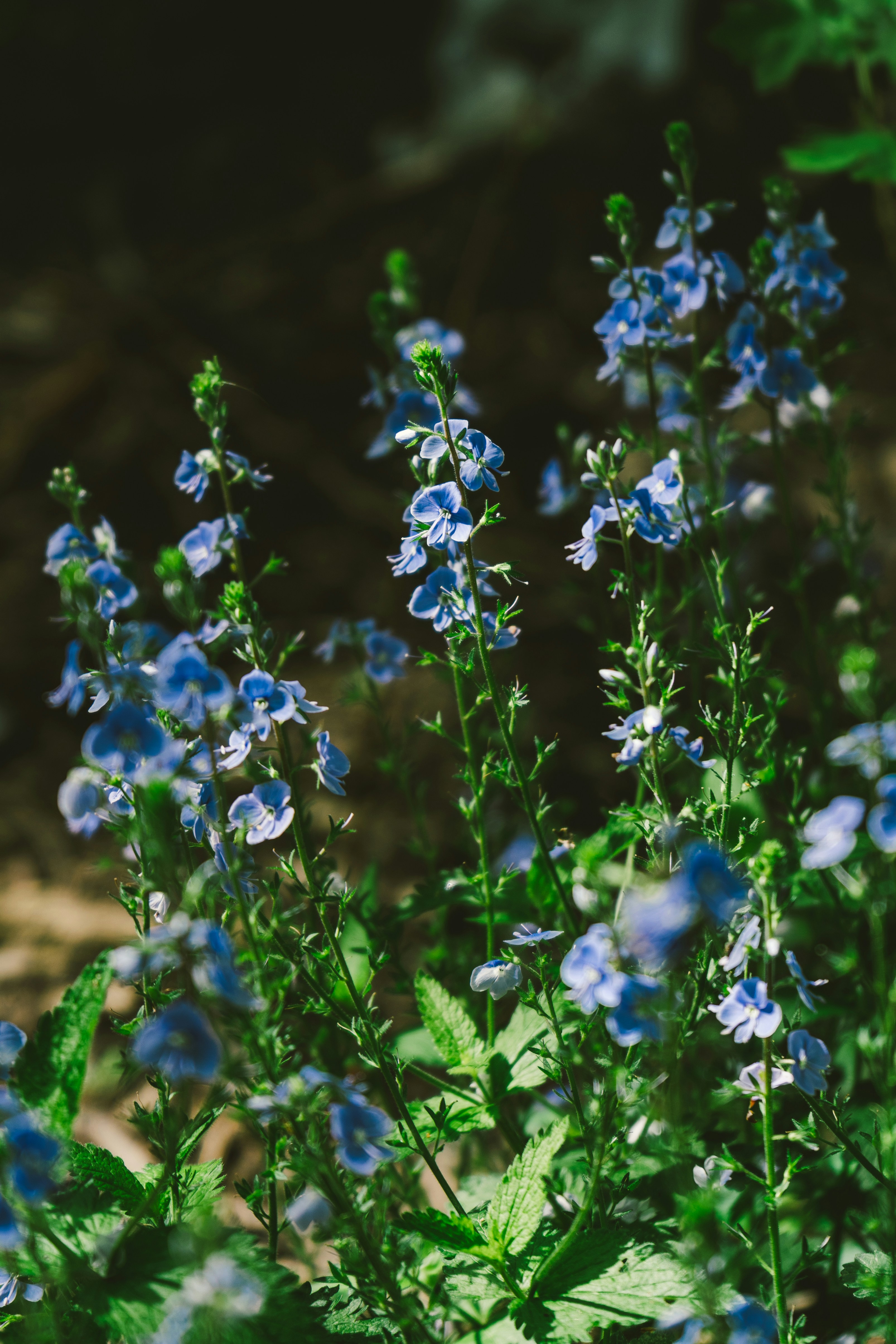 Photo by thestefankostic