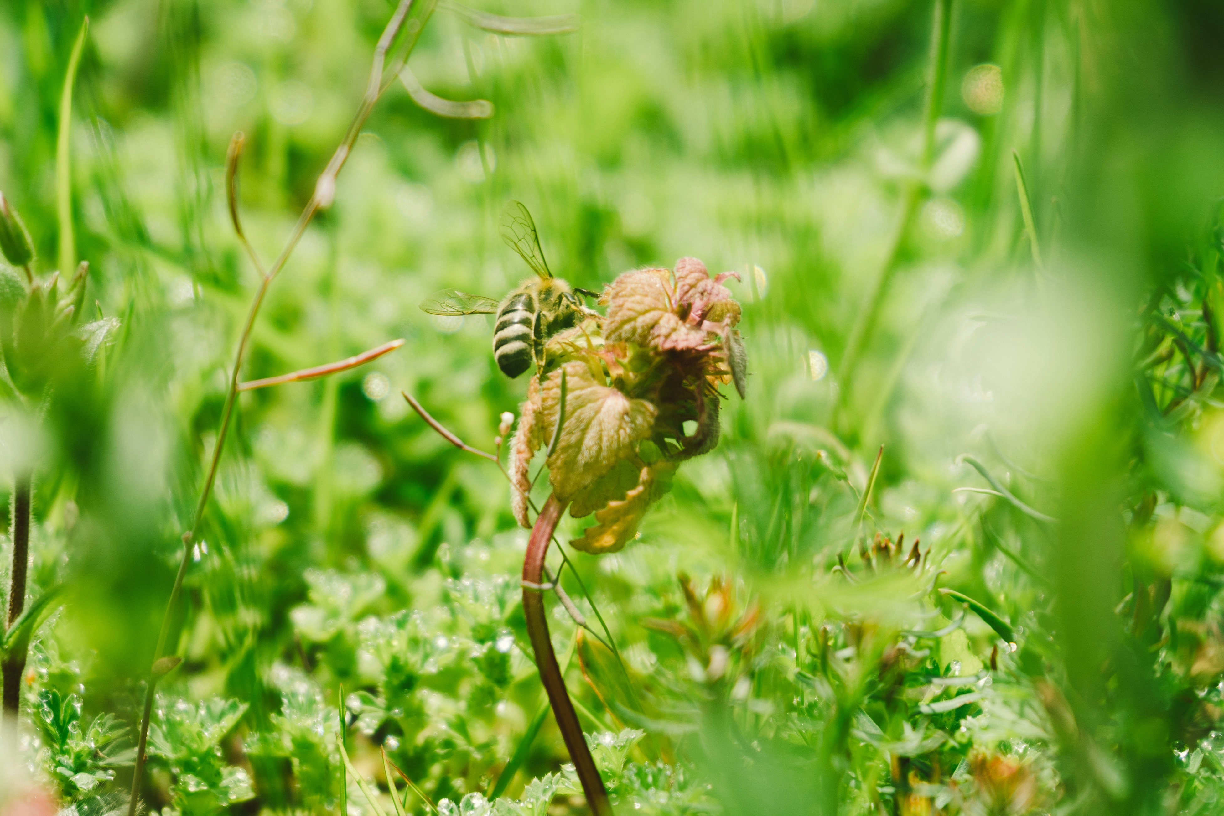 Photo by thestefankostic