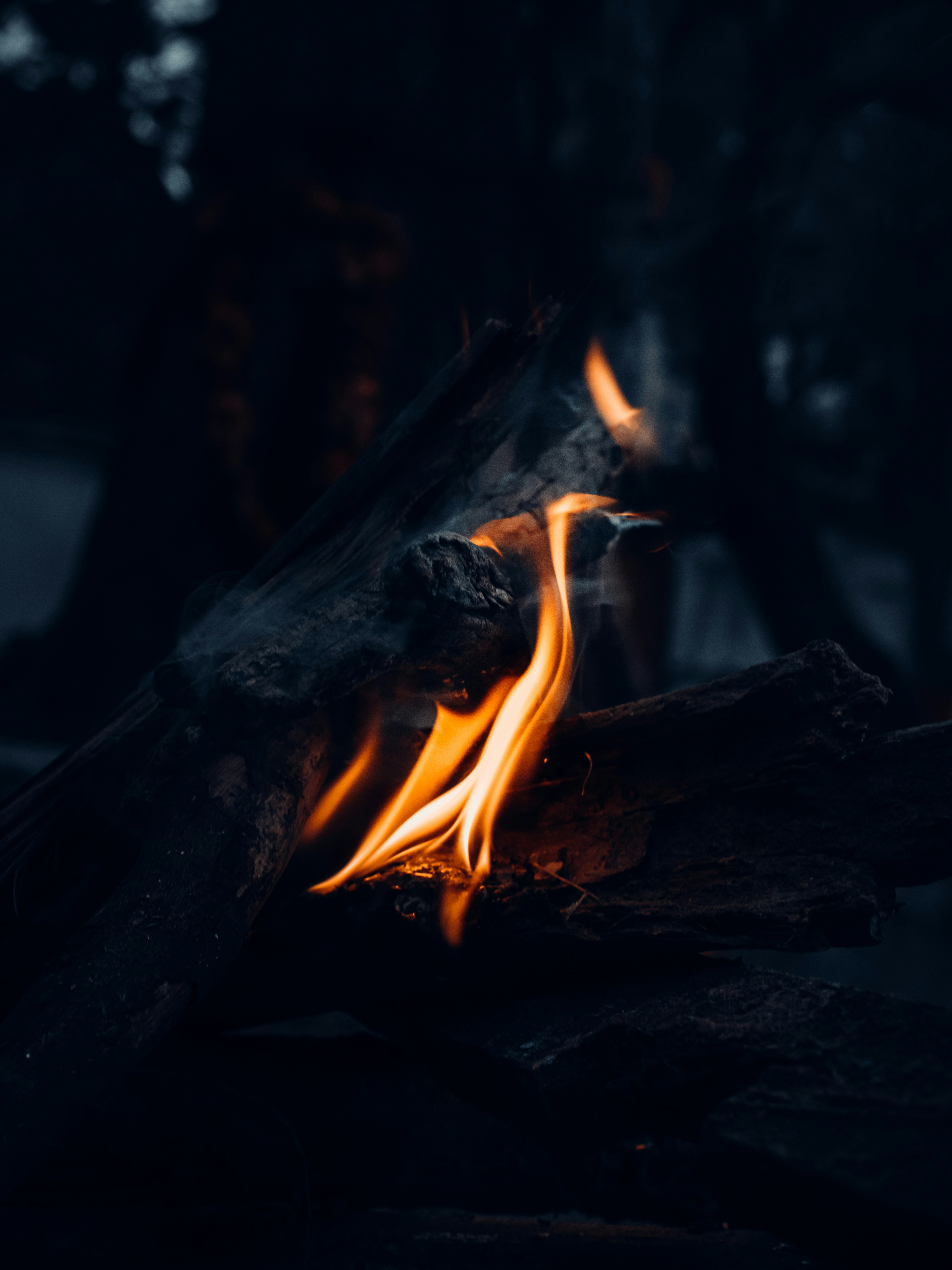 Photo by moon_tashir