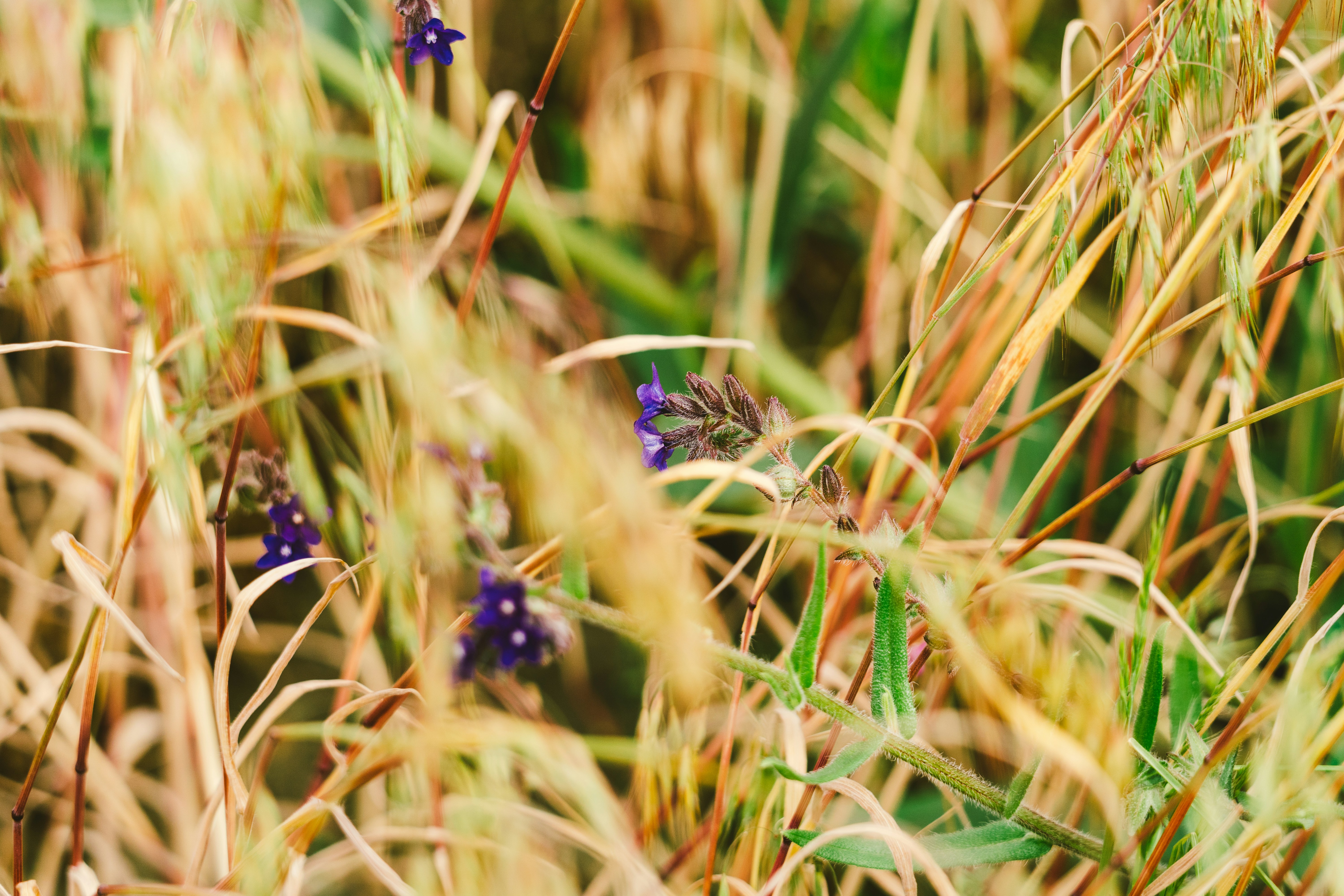 Photo by thestefankostic