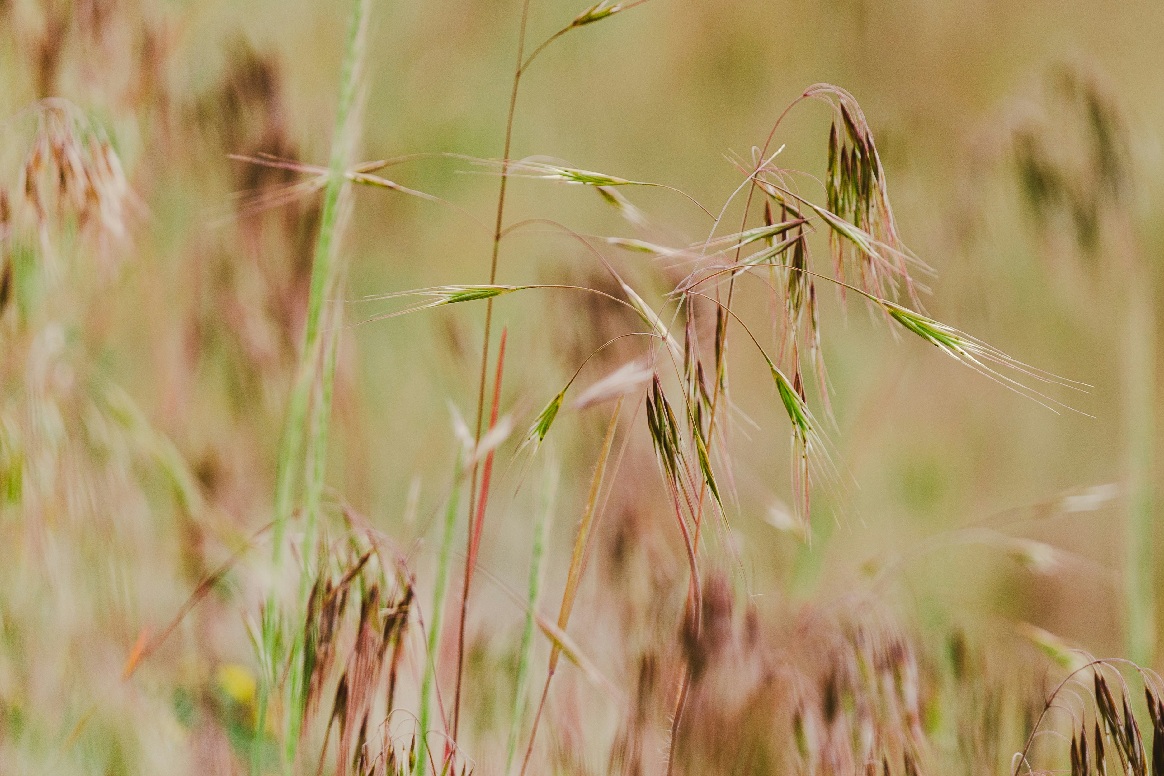 Photo by thestefankostic